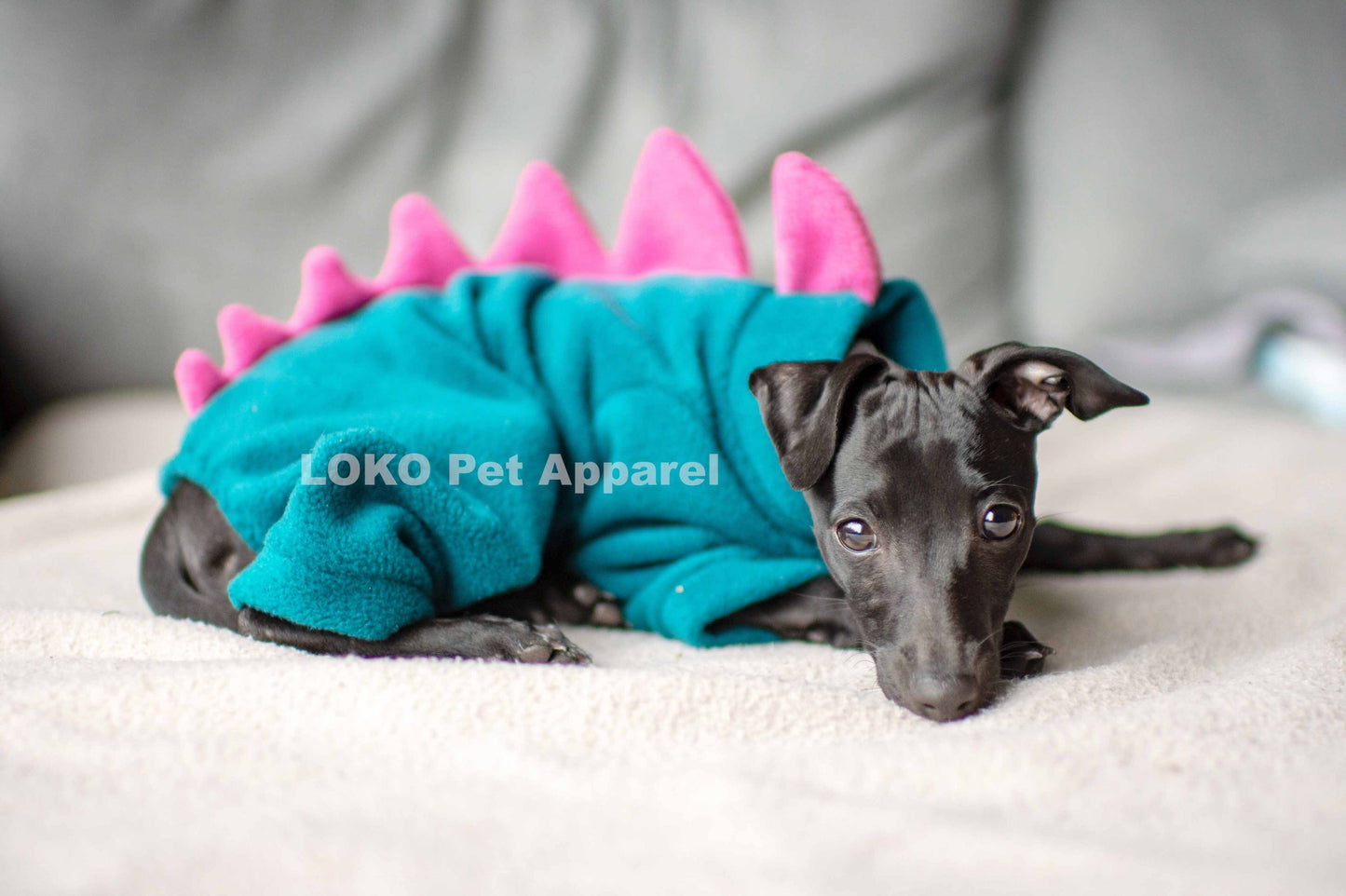 Dinosaur Onesie - Puppy
