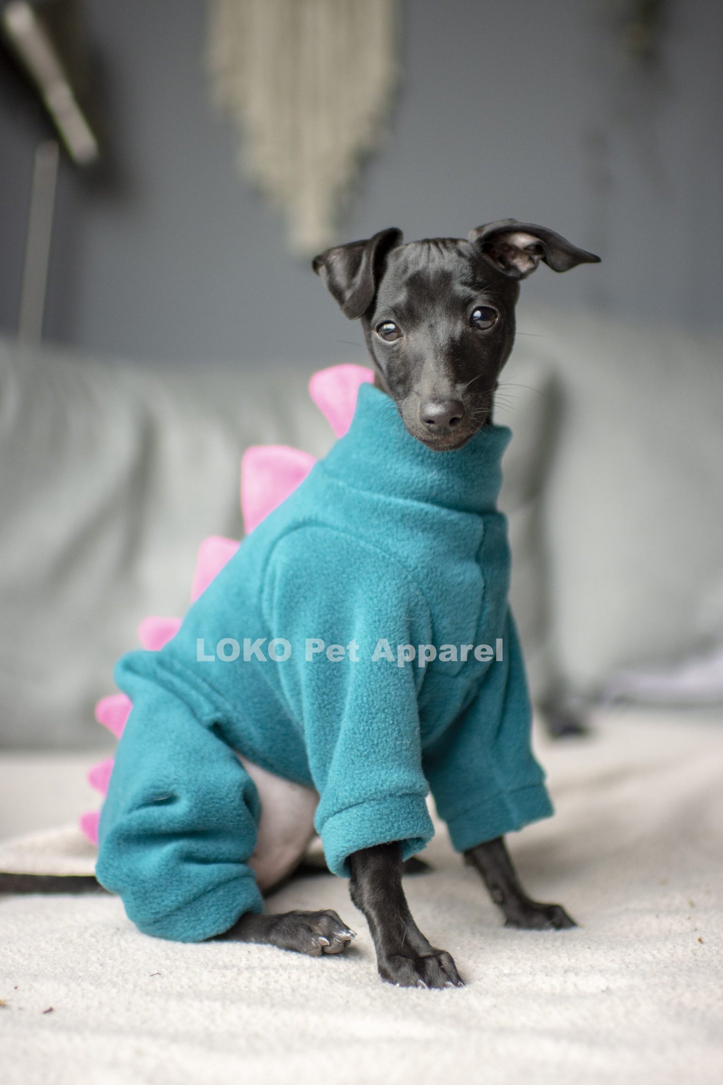 Dinosaur Onesie - Puppy