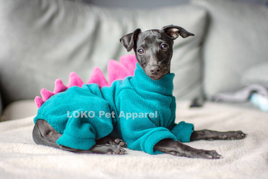 Dinosaur Onesie - Puppy