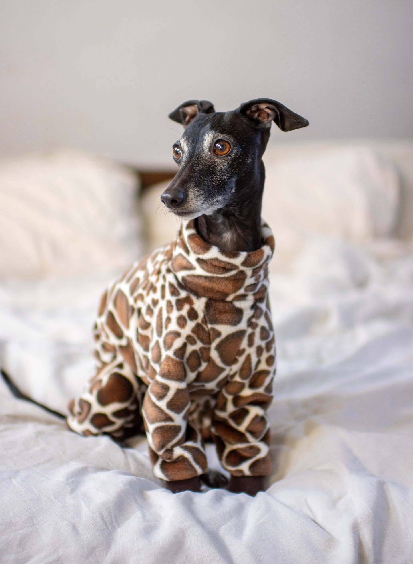 Giraffe Fluffy Onesie