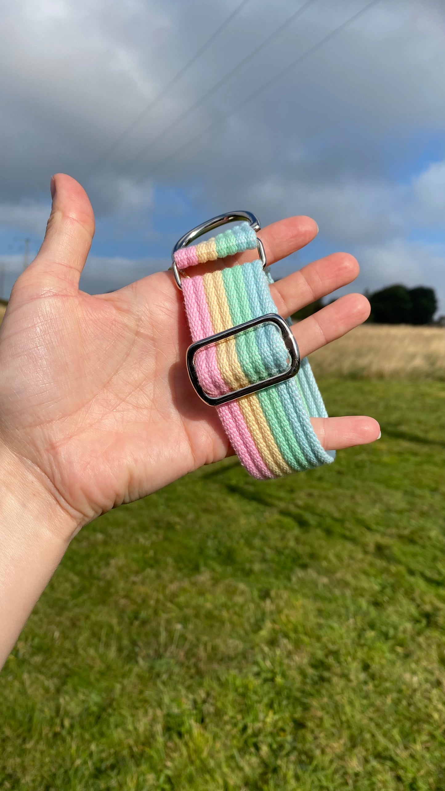 Fabric Collars