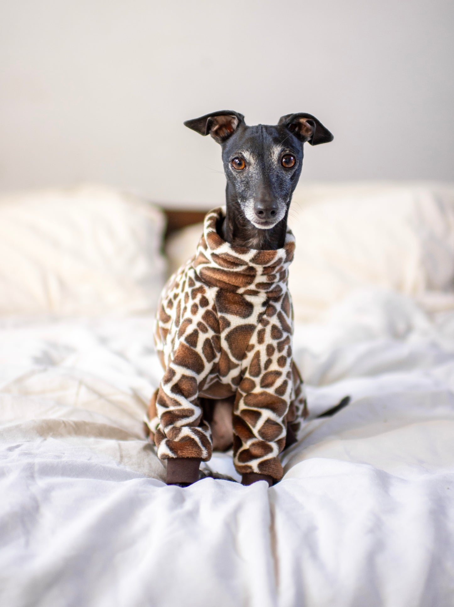 Giraffe Fluffy Onesie