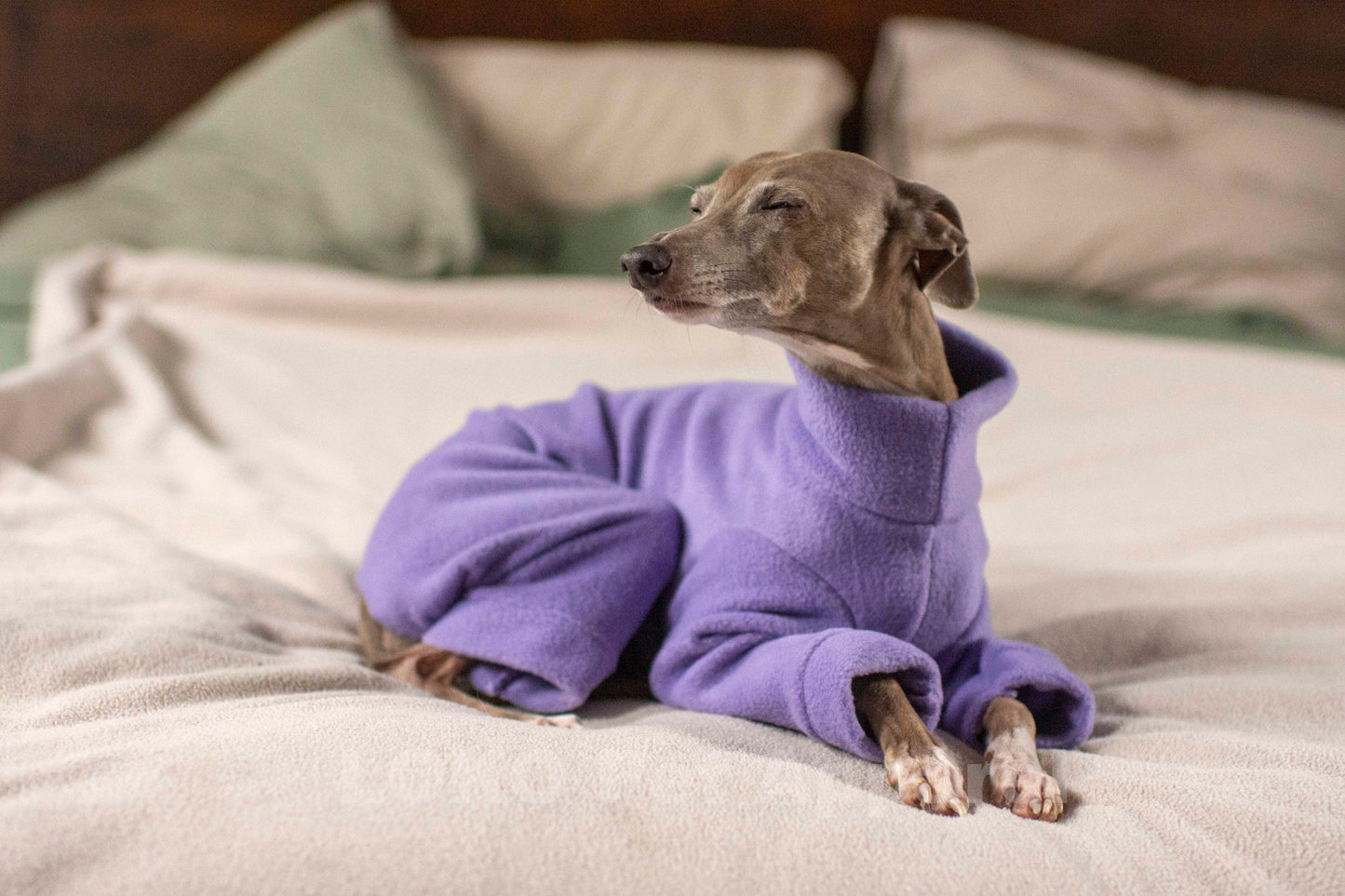 Fleece Basics - Onesie