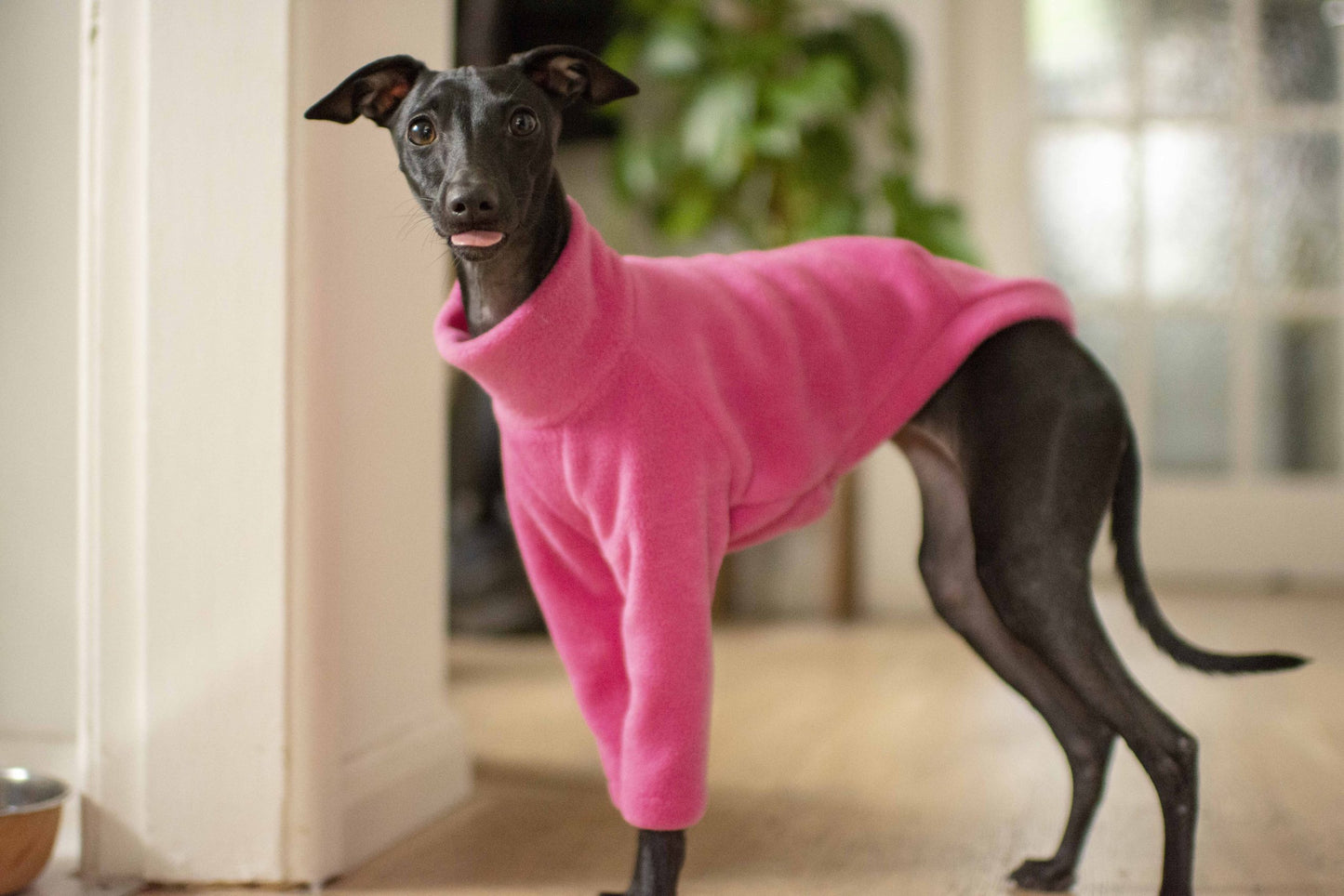 Fleece Basics - Jumper