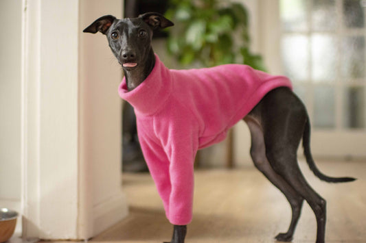 Fleece Basics - Jumper