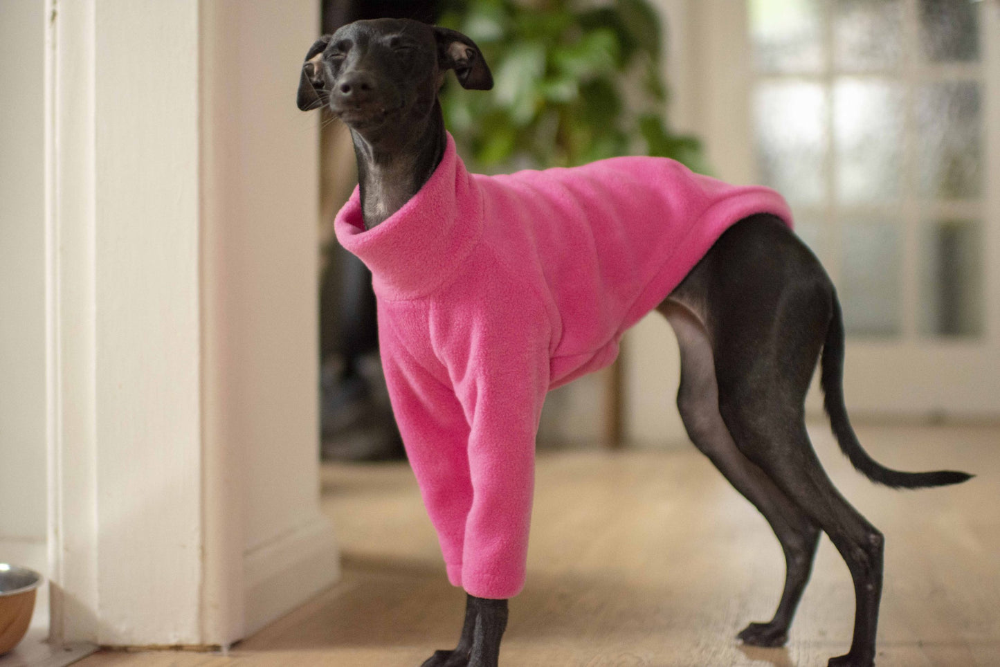 Fleece Basics - Jumper