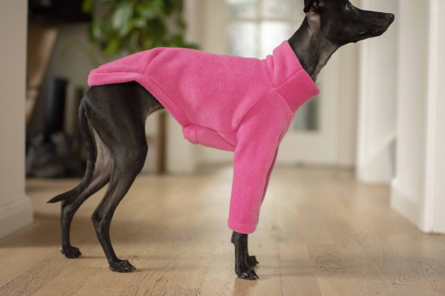 Fleece Basics - Jumper