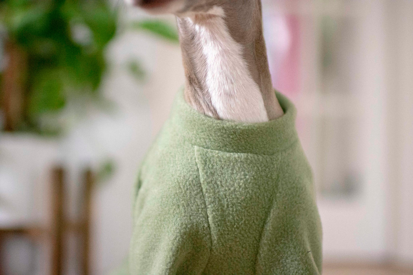 Fleece Basics - Jumper