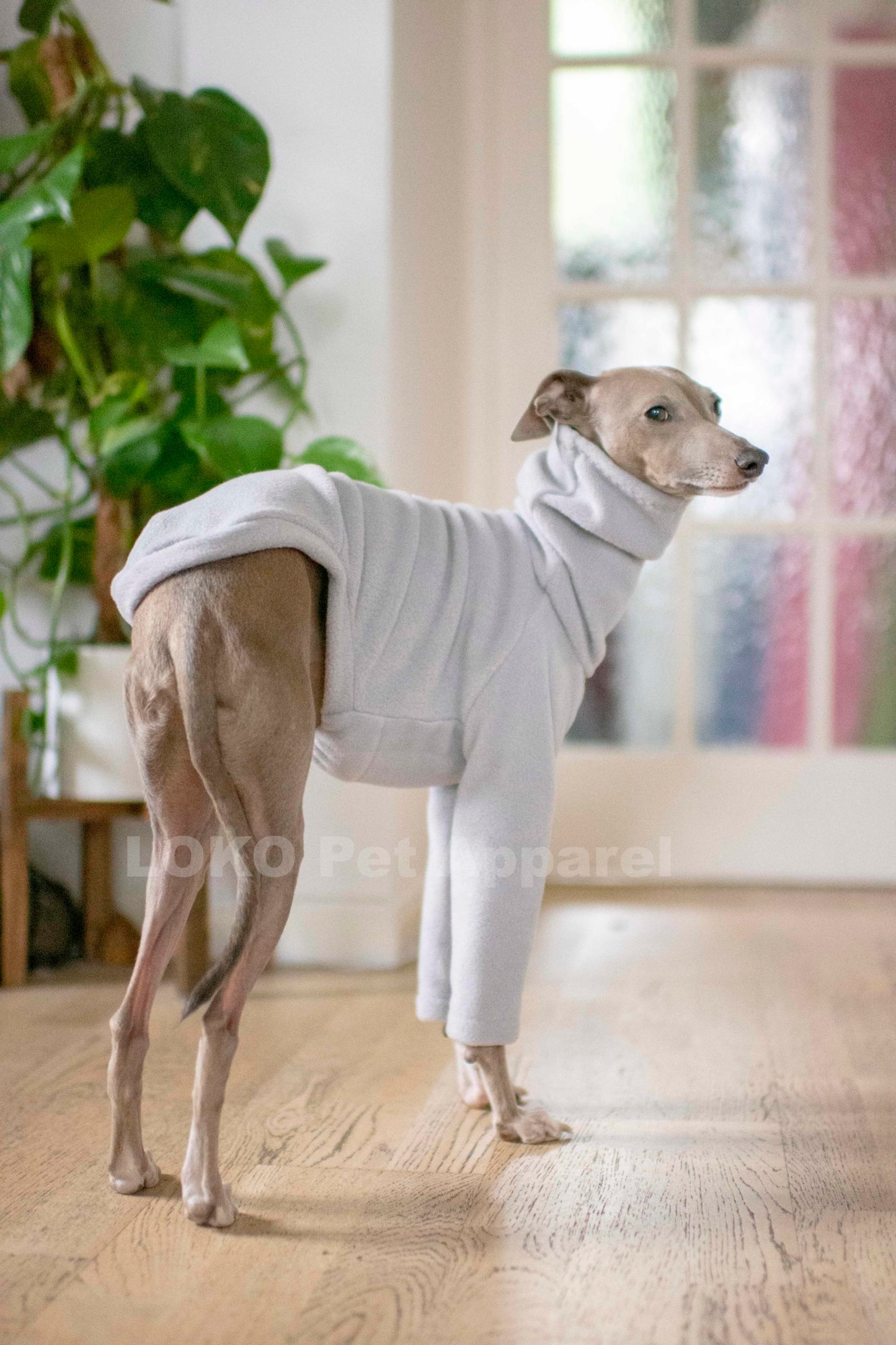 Fleece Basics - Jumper