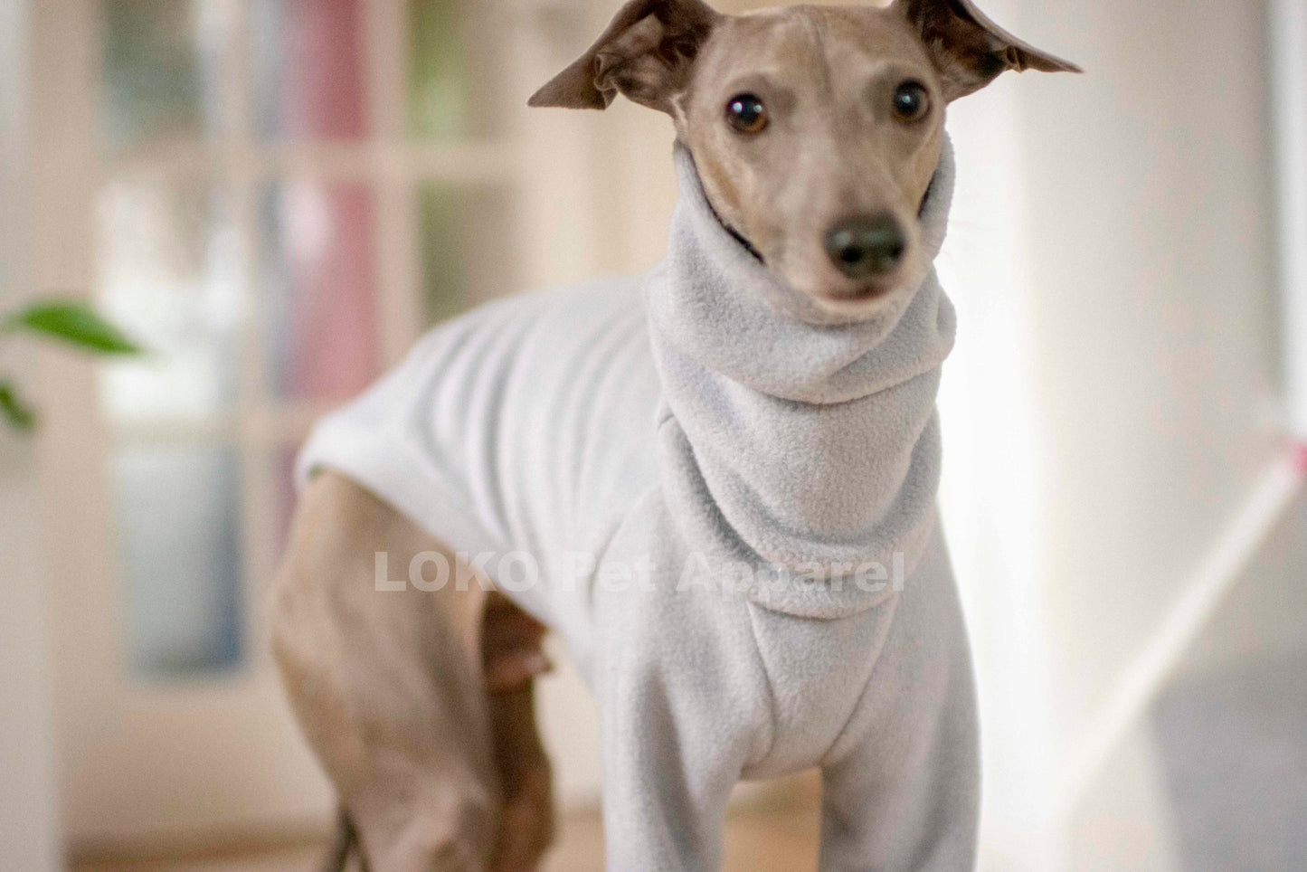 Fleece Basics - Jumper