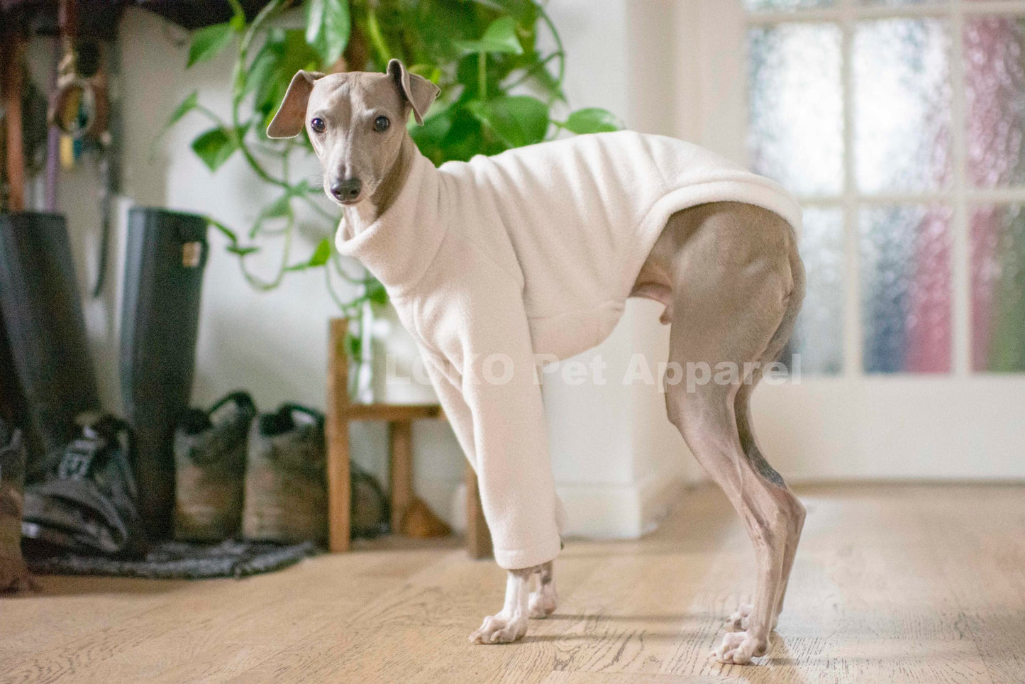 Fleece Basics - Jumper