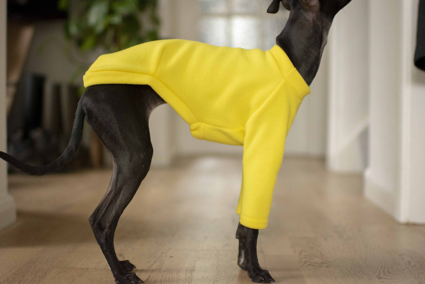 Fleece Basics - Jumper