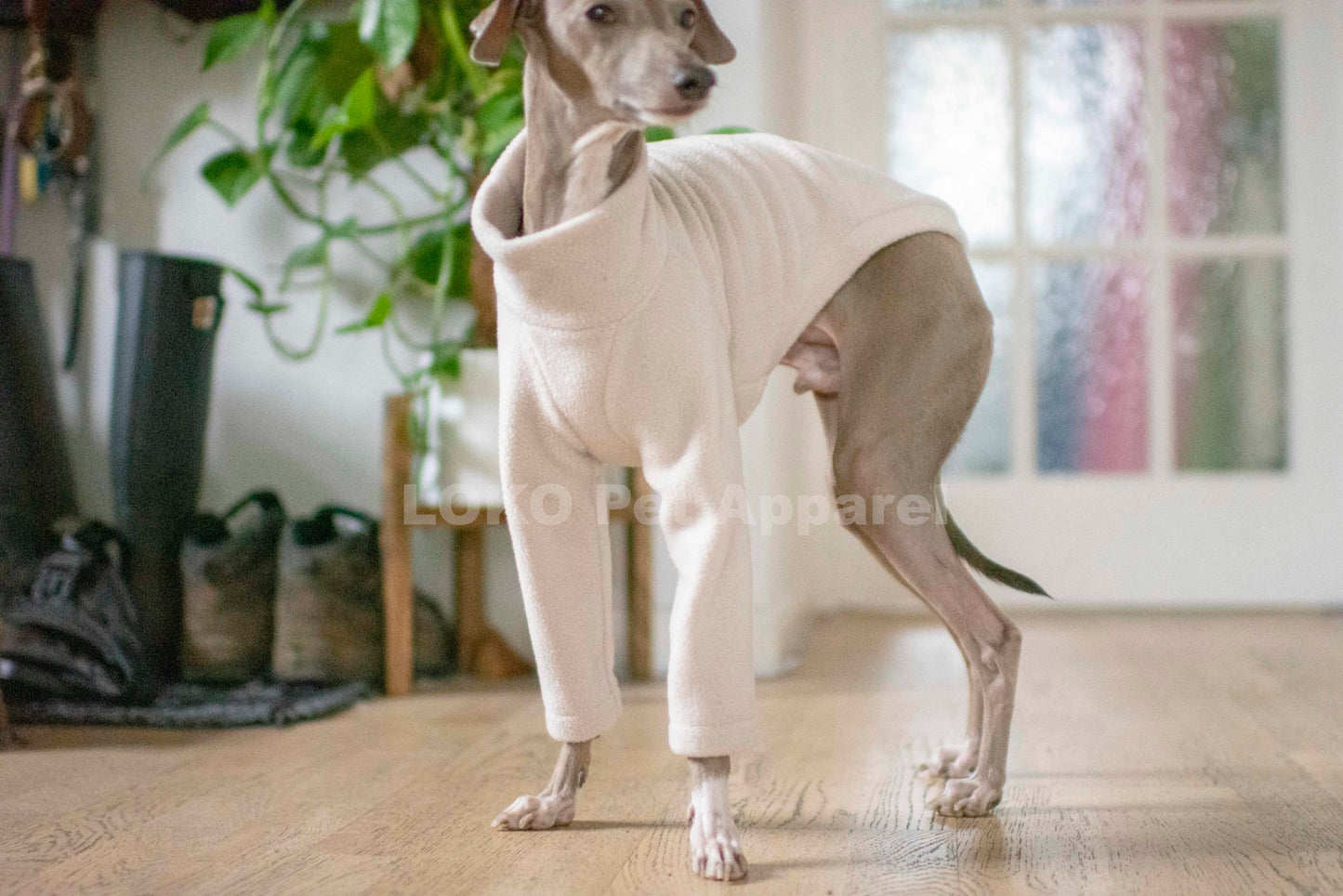 Fleece Basics - Jumper