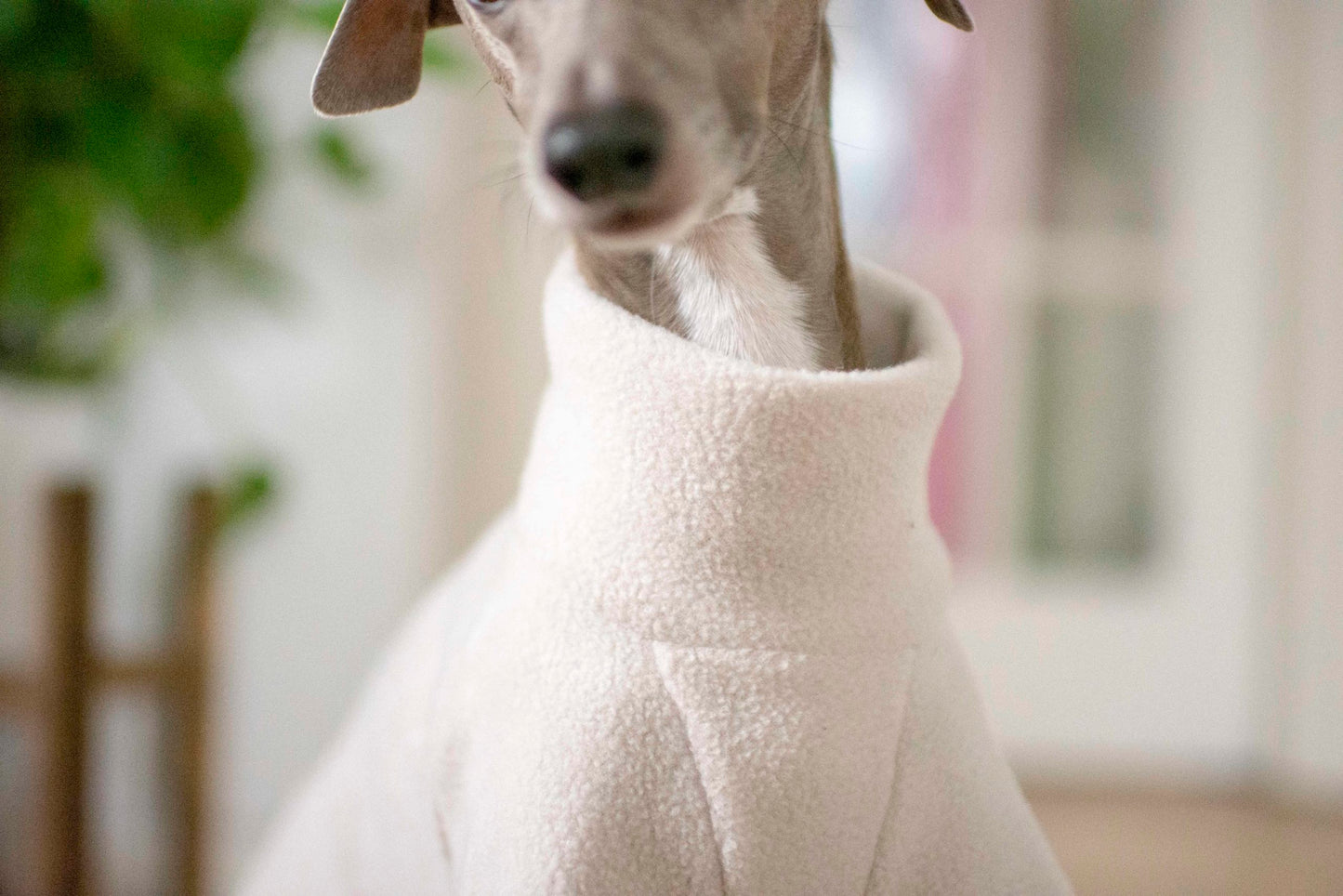 Fleece Basics - Jumper