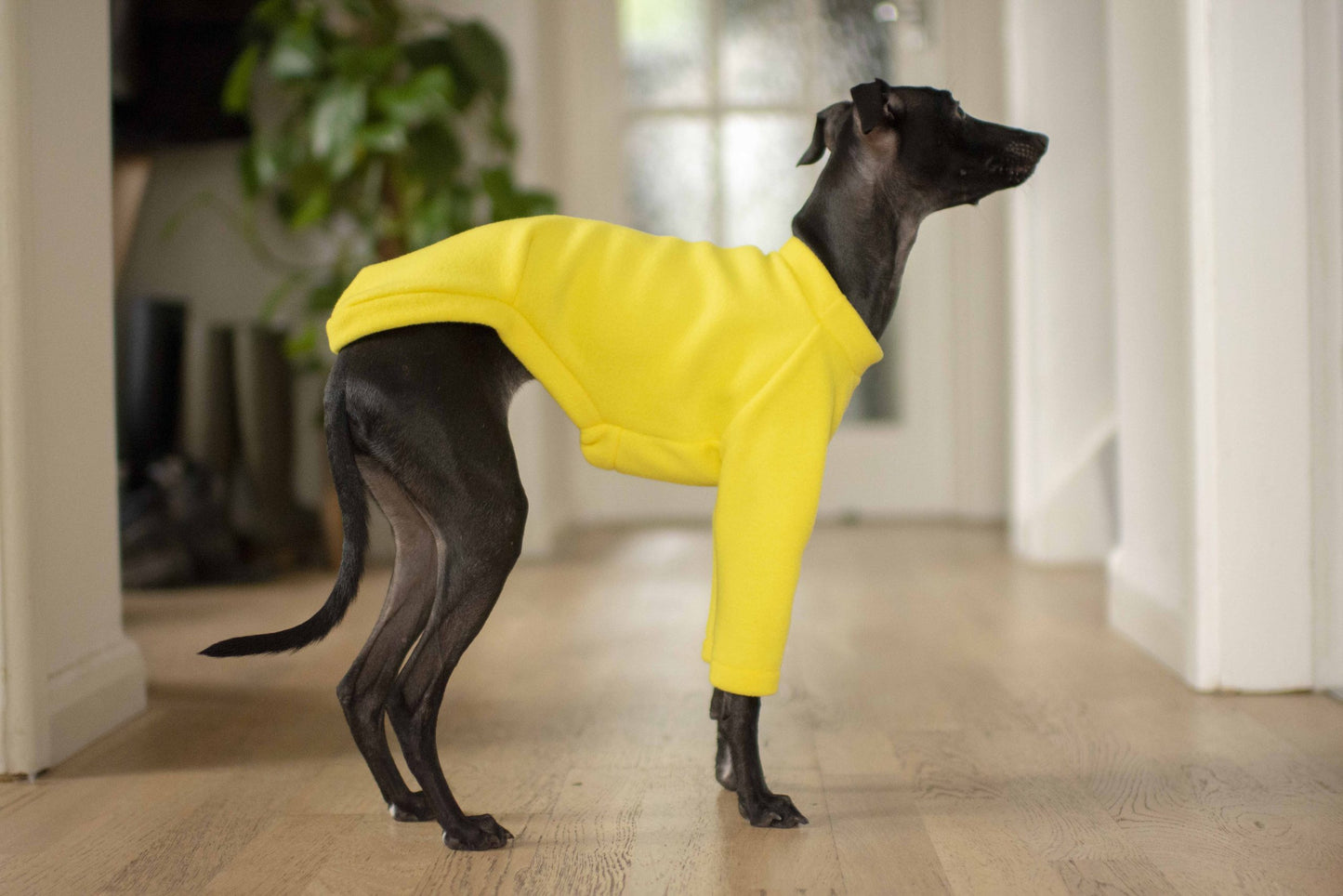 Fleece Basics - Jumper