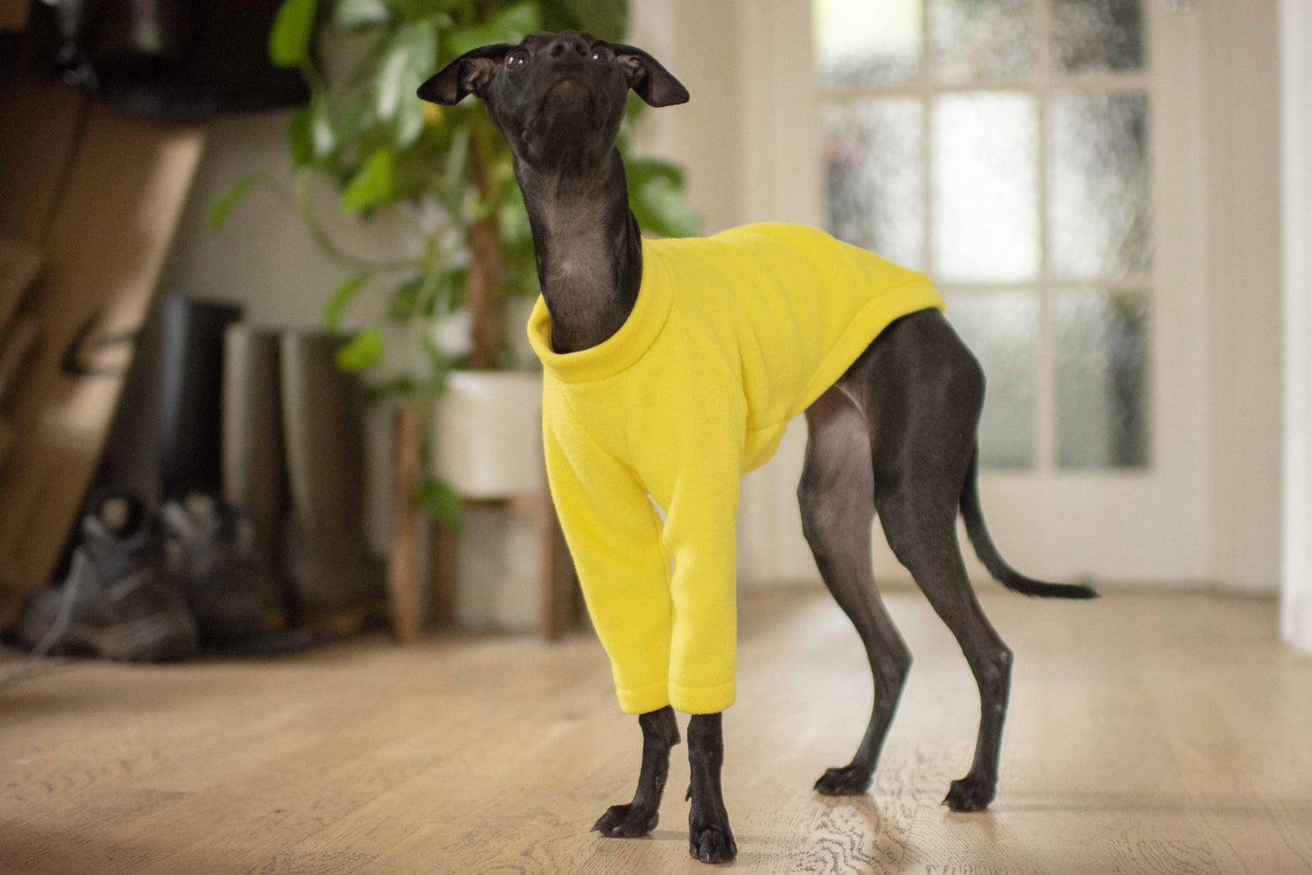 Fleece Basics - Jumper
