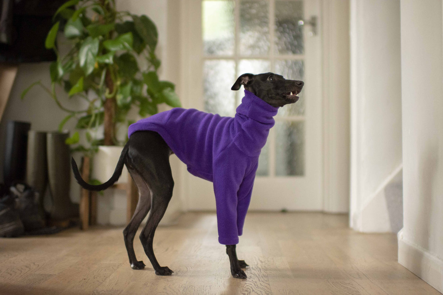 Fleece Basics - Jumper