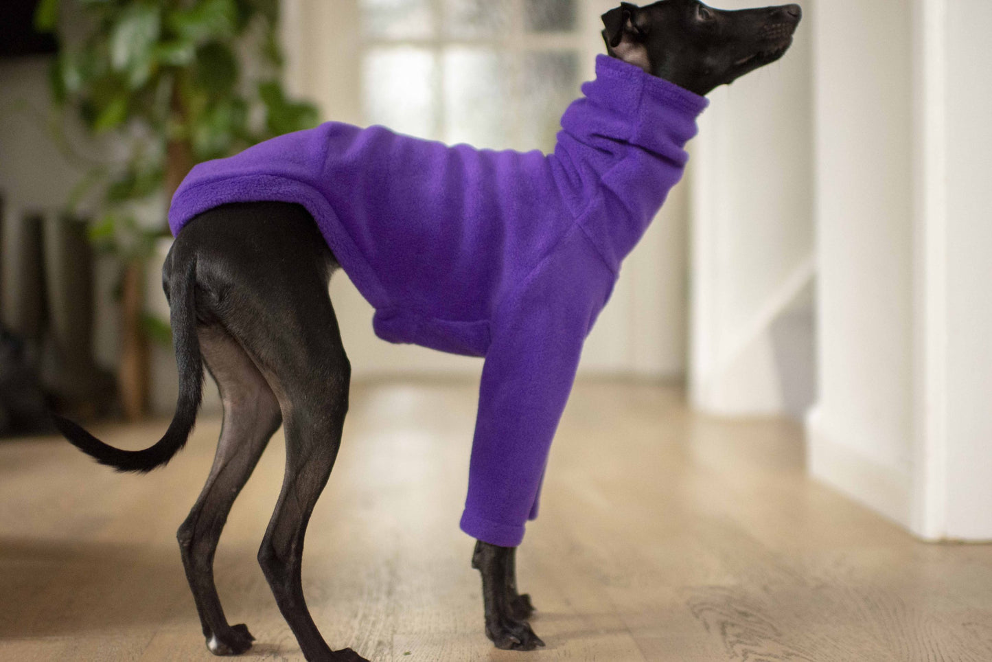 Fleece Basics - Jumper