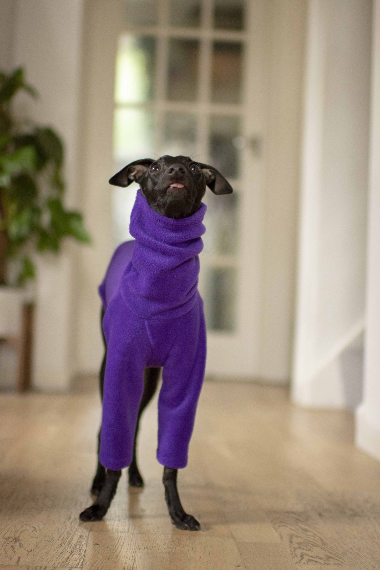 Fleece Basics - Jumper