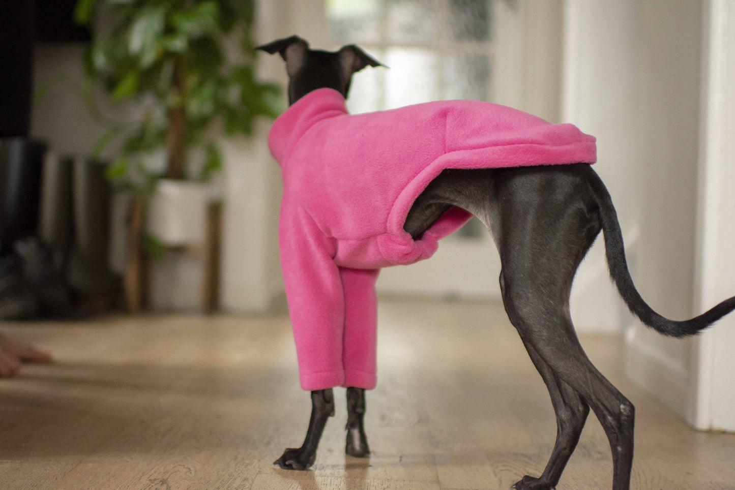 Fleece Basics - Jumper