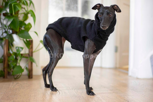 Fleece Basics - Vest