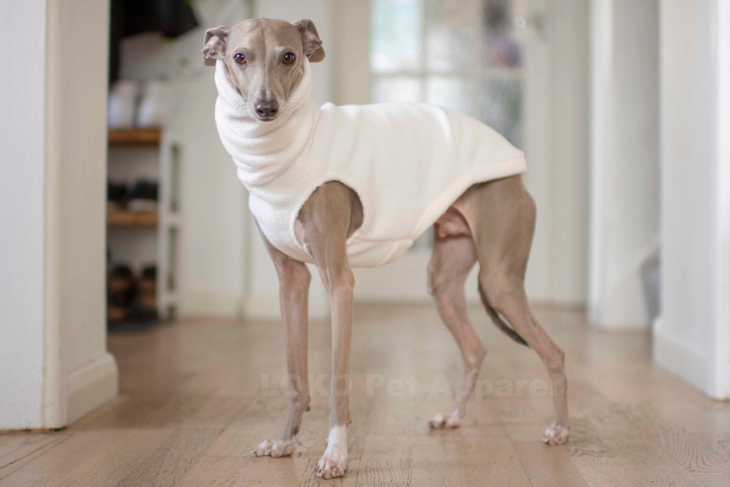 Fleece Basics - Vest