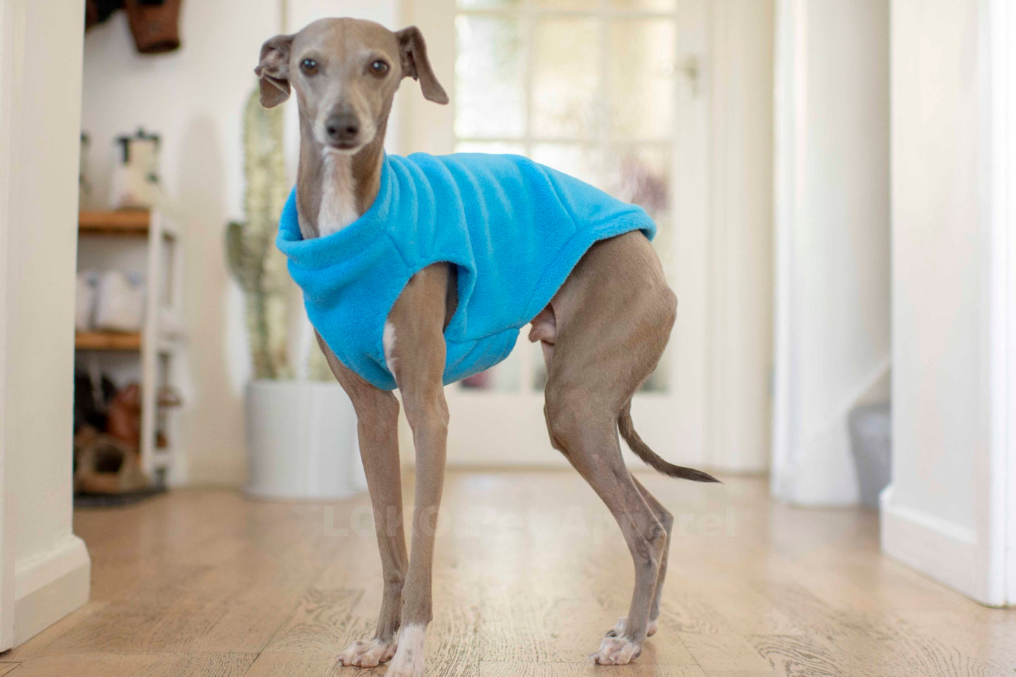 Fleece Basics - Vest