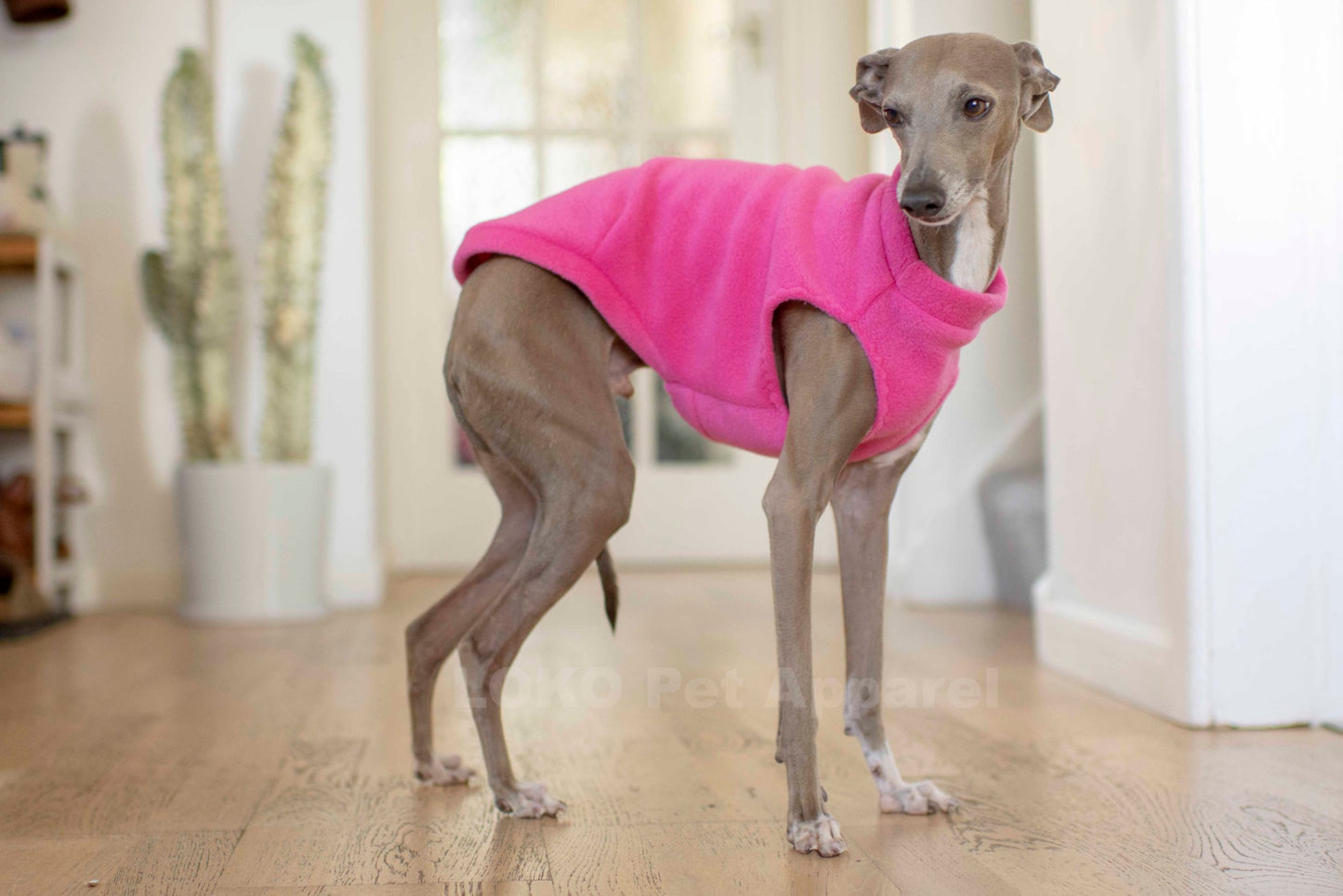 Fleece Basics - Vest