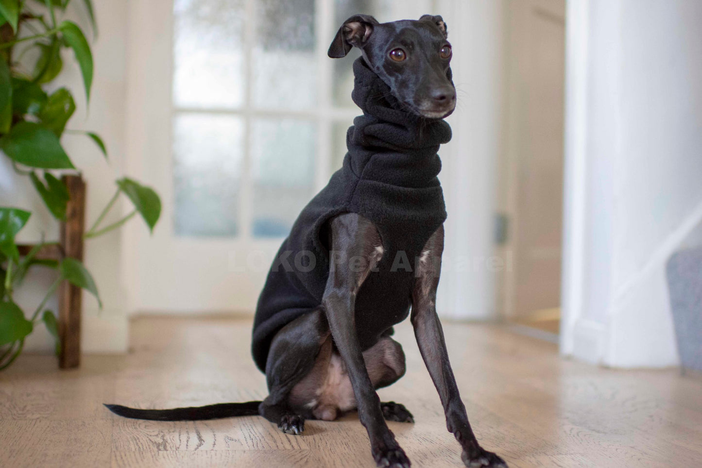 Fleece Basics - Vest