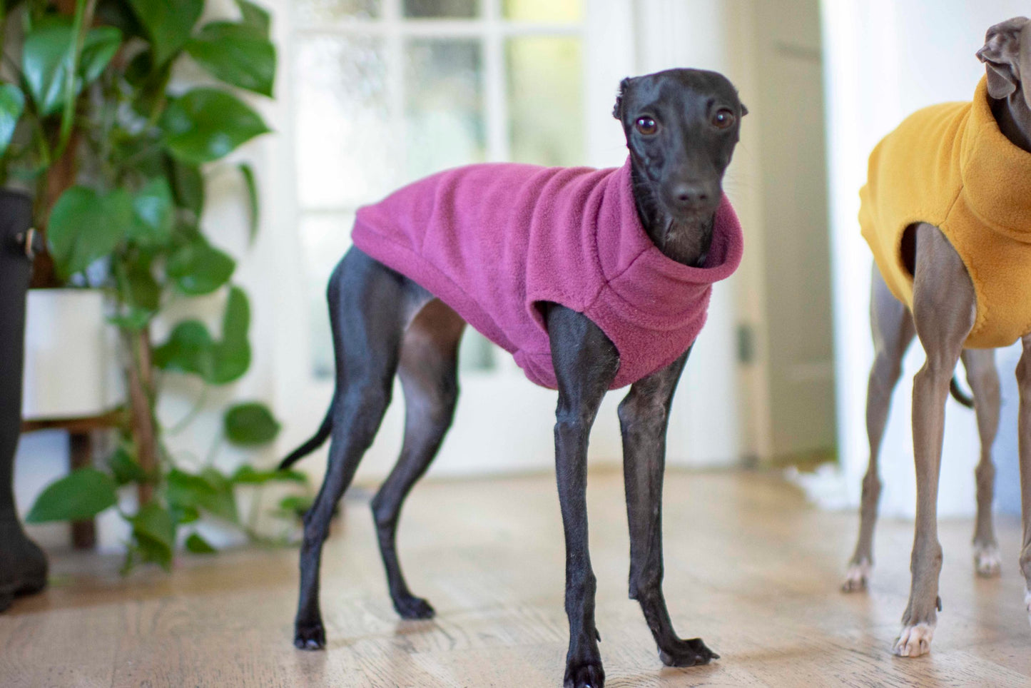 Fleece Basics - Vest