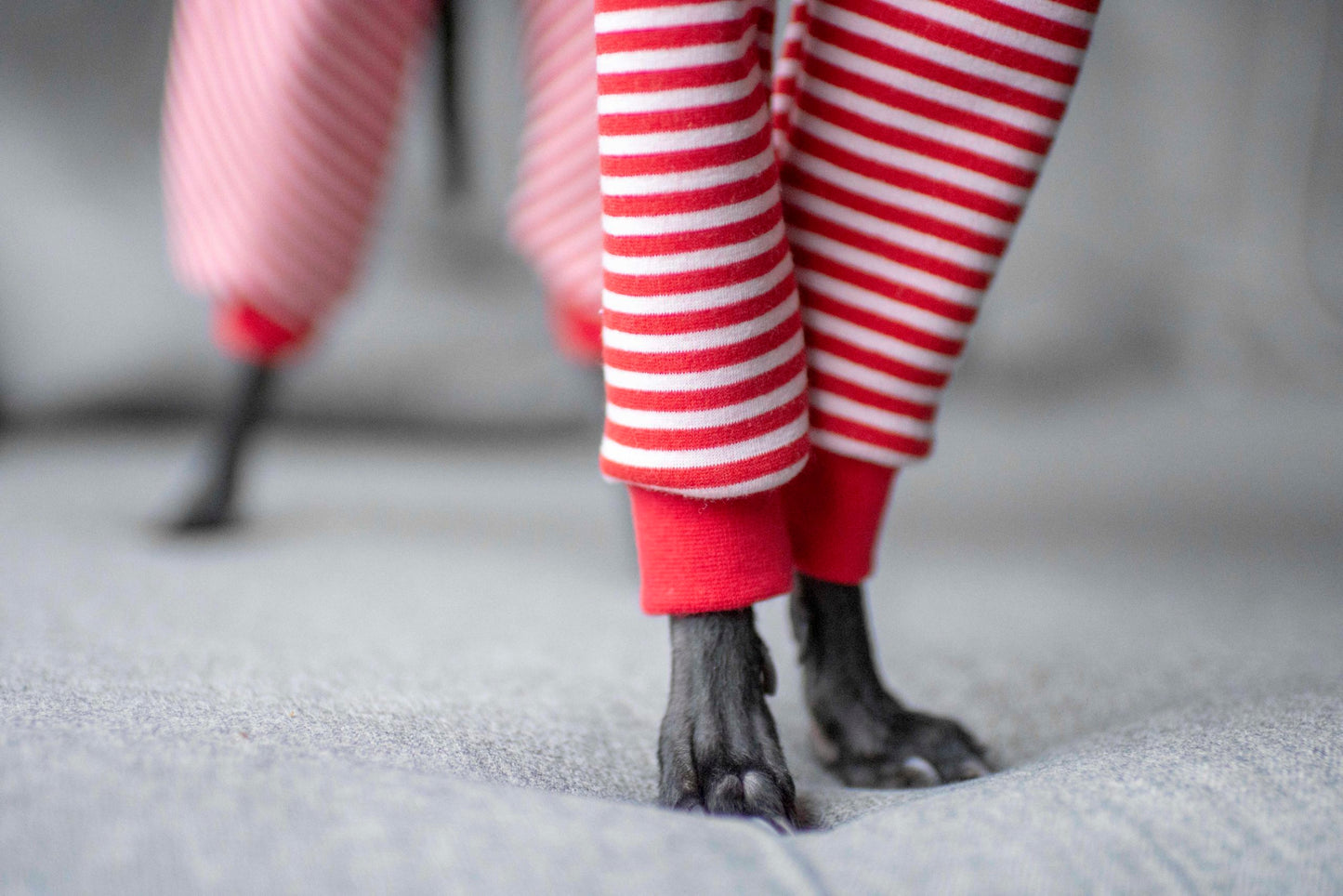 Alpine Fleece Onesie (Stripe)