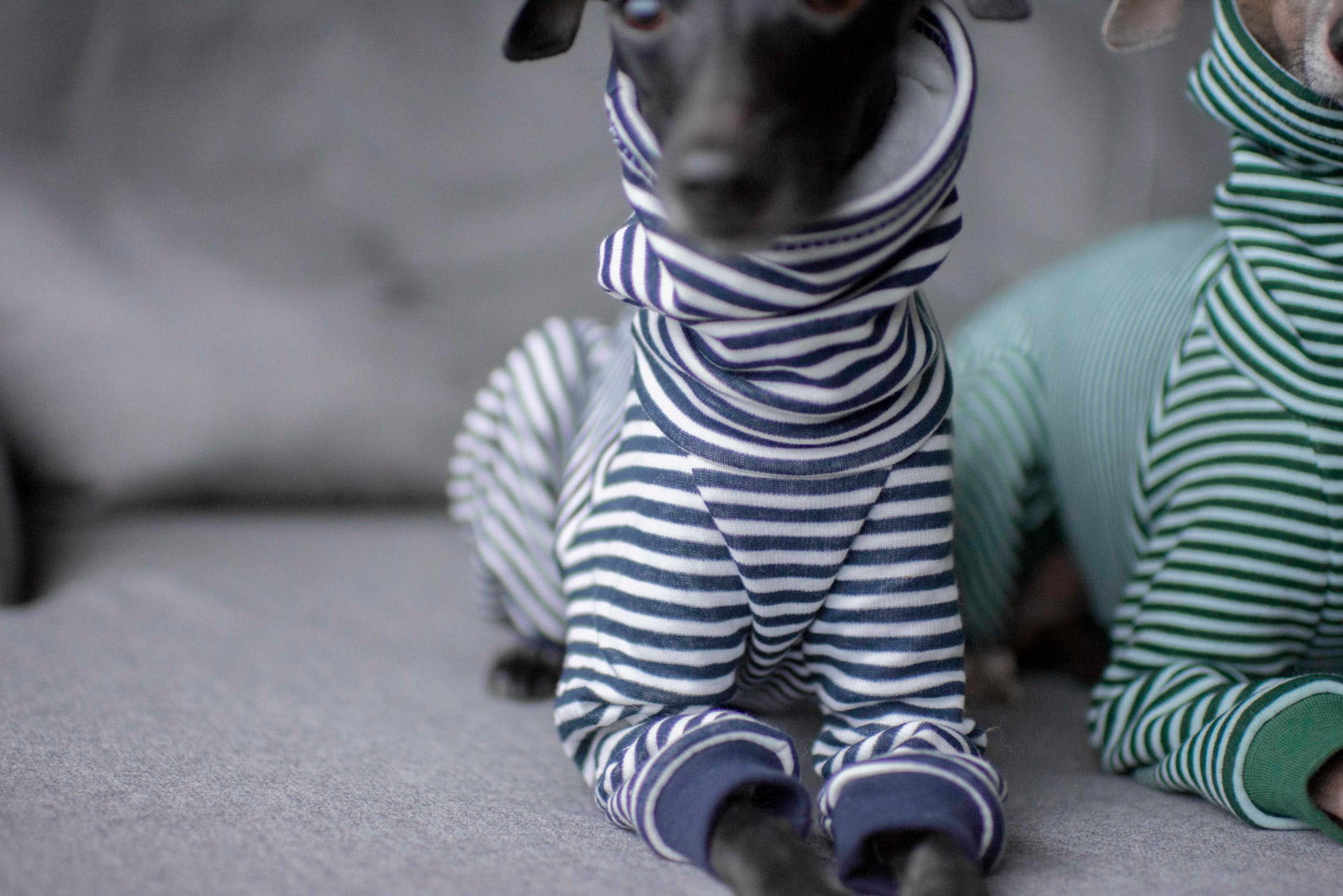 Alpine Fleece Onesie (Stripe)