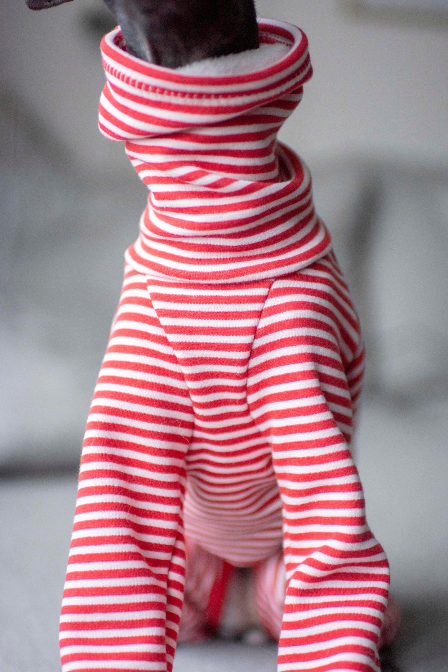 Alpine Fleece Onesie (Stripe)