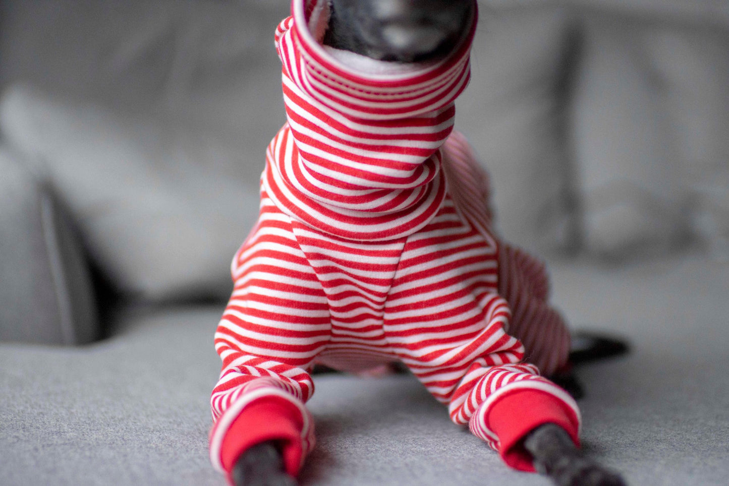 Alpine Fleece Onesie (Stripe)