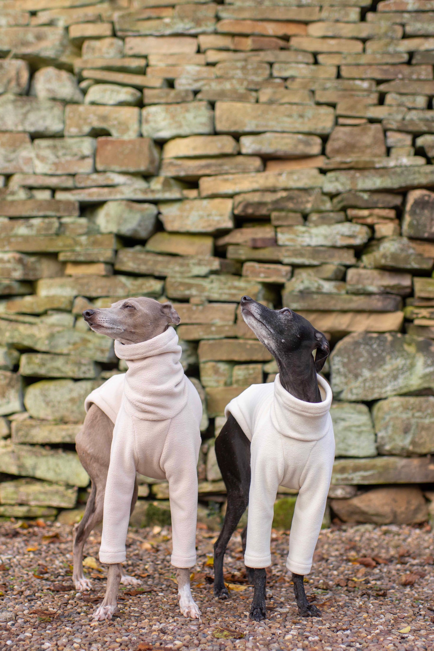 Fuzzy Fleece Jumpers