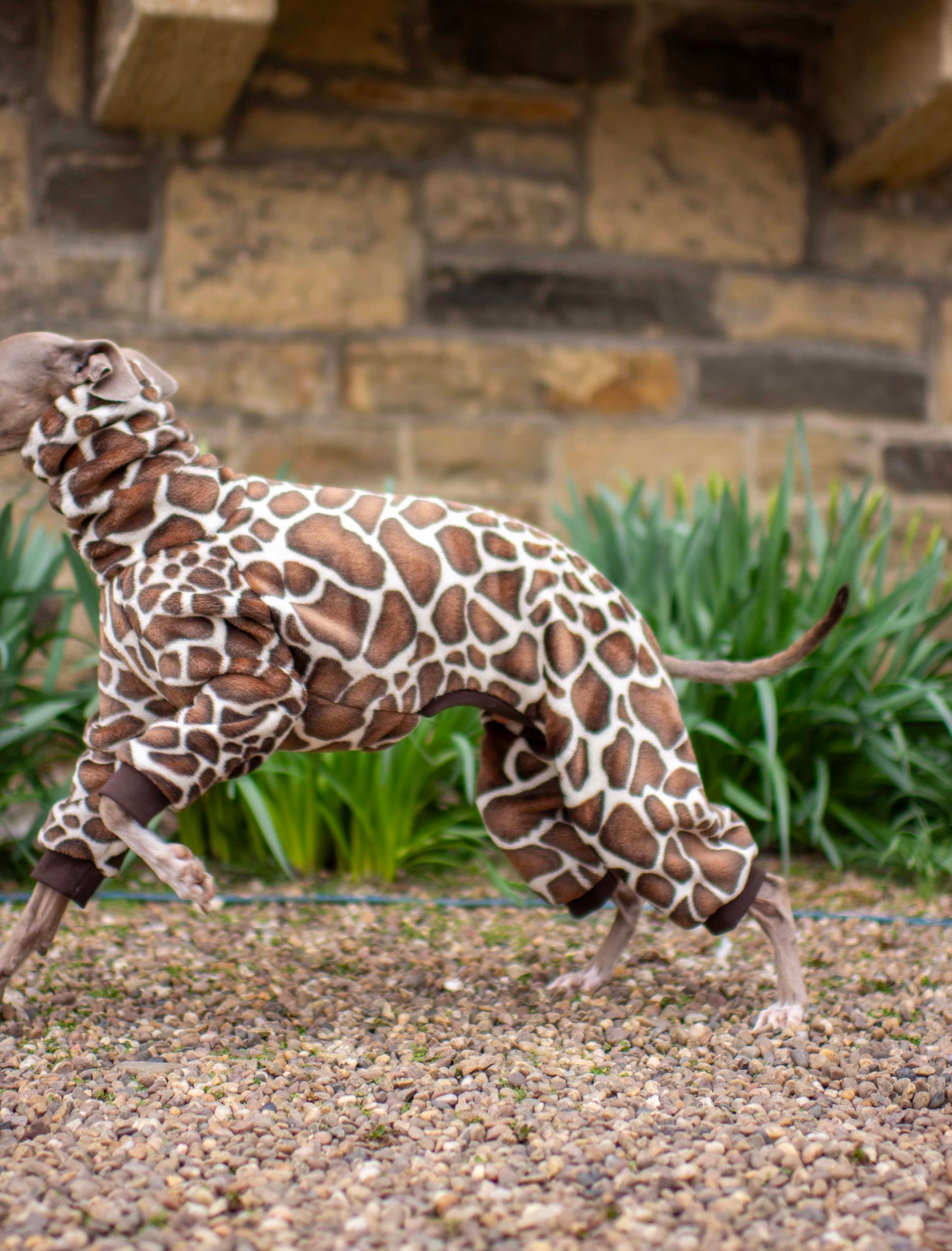 Giraffe Fluffy Onesie