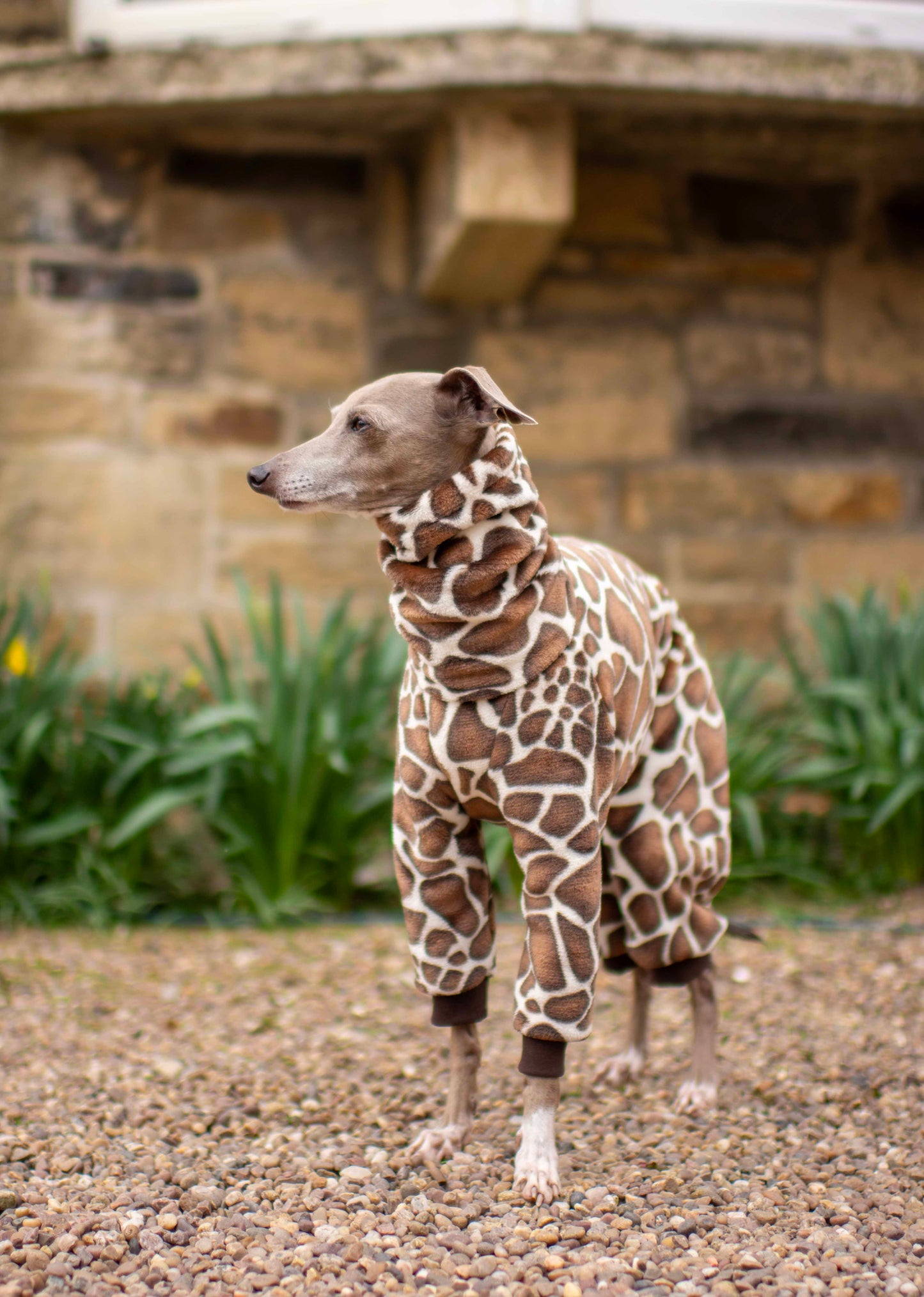 Giraffe Fluffy Onesie