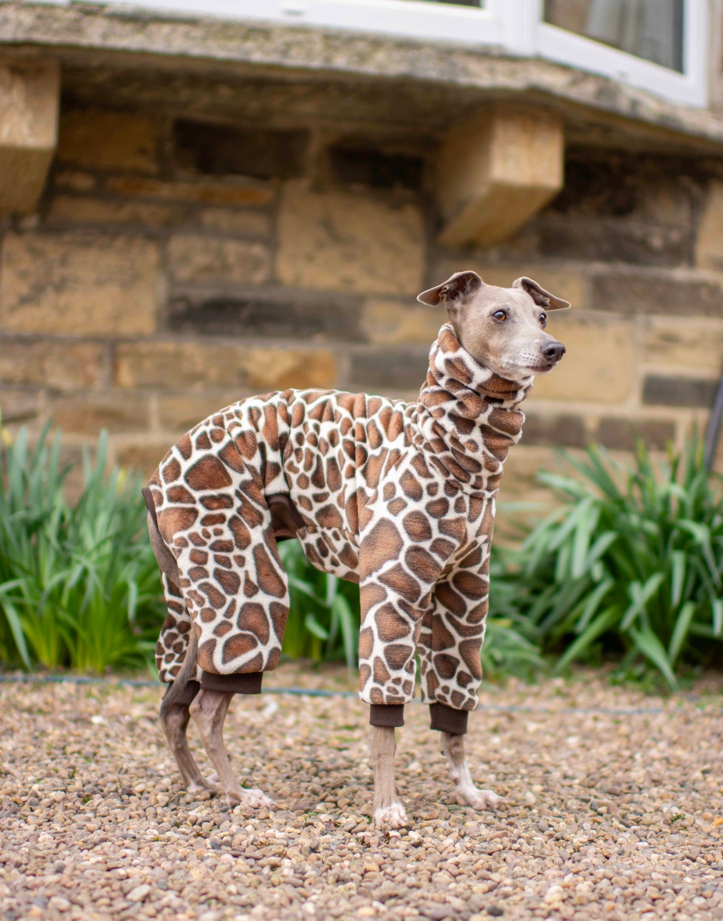 Giraffe Fluffy Onesie