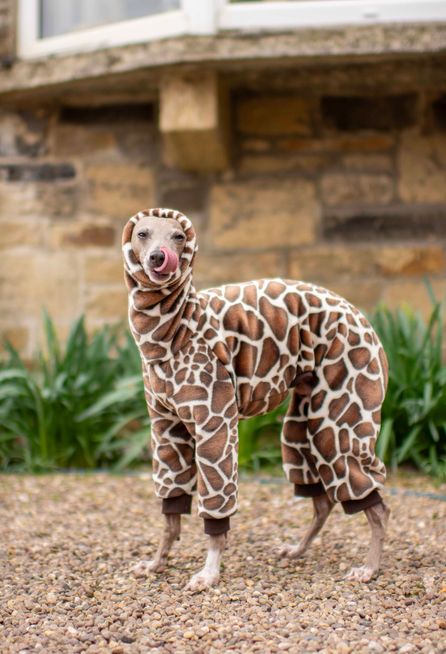 Giraffe Fluffy Onesie