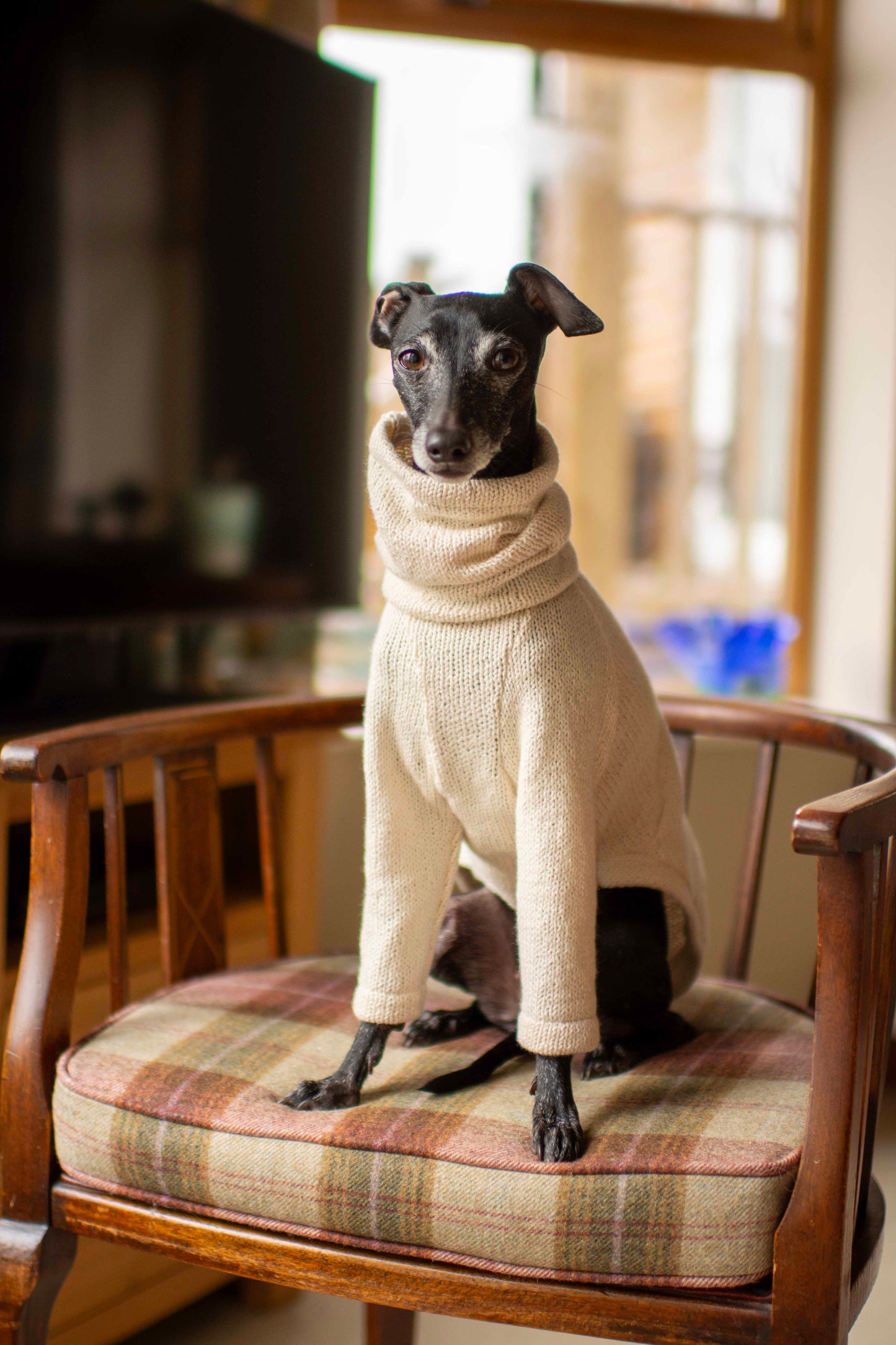 Cotton Knit Jumper