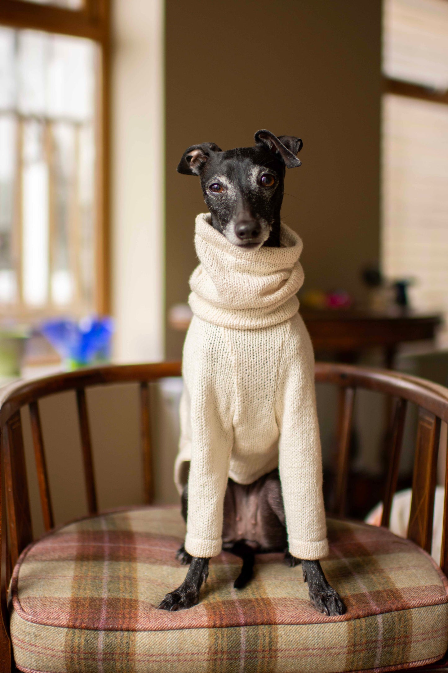 Cotton Knit Jumper