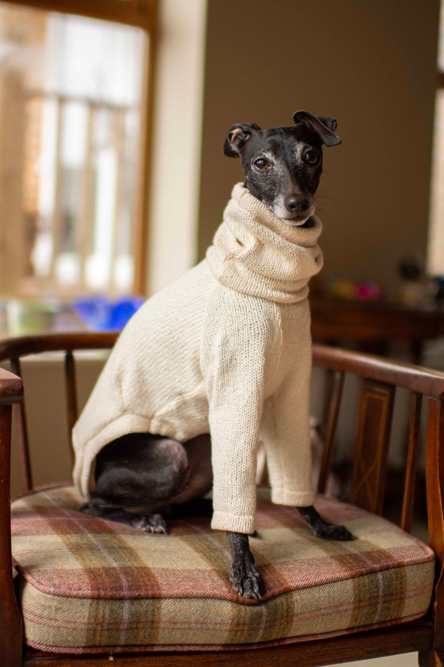 Cotton Knit Jumper