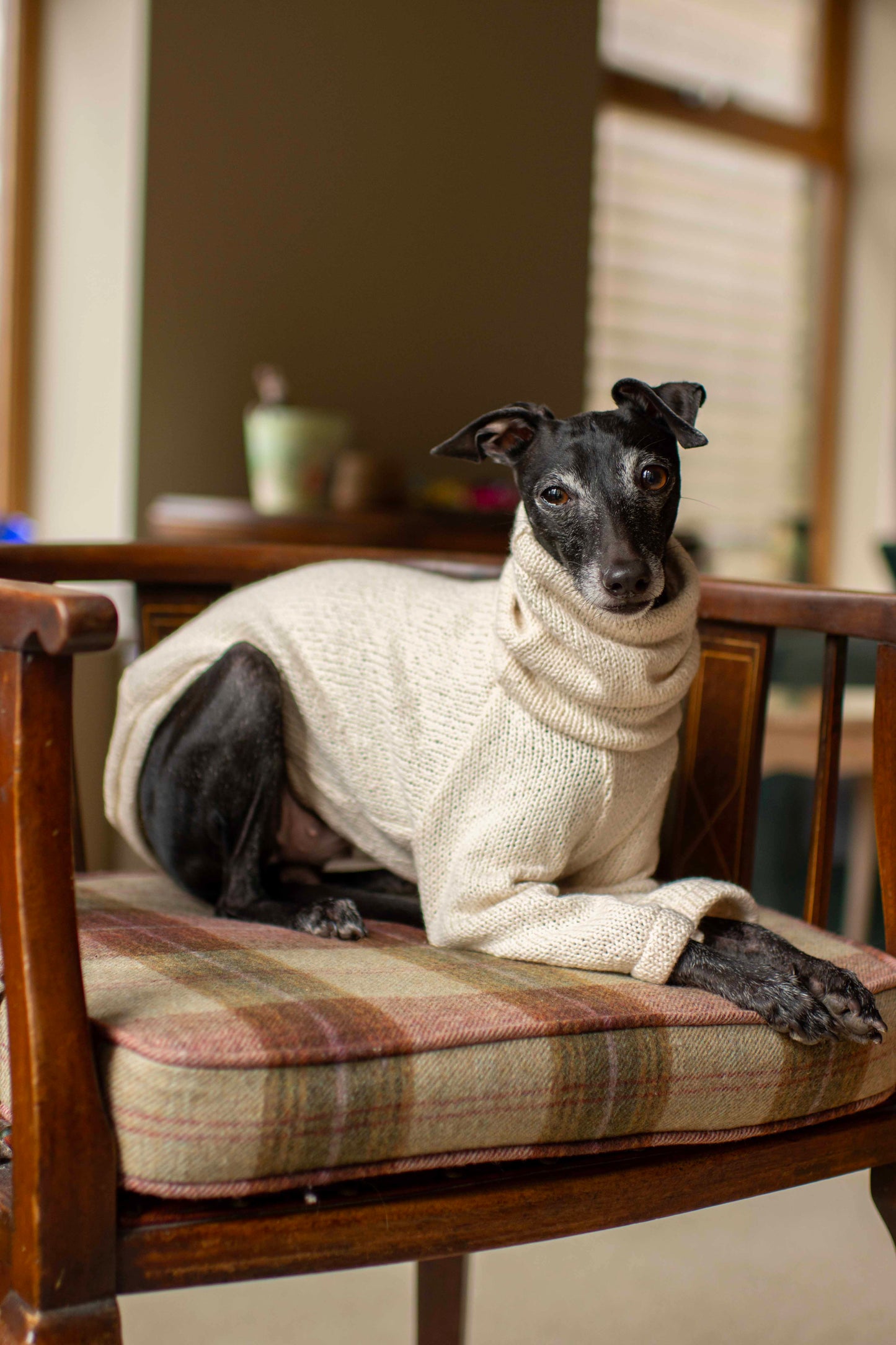 Cotton Knit Jumper