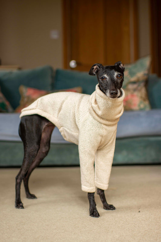 Cotton Knit Jumper