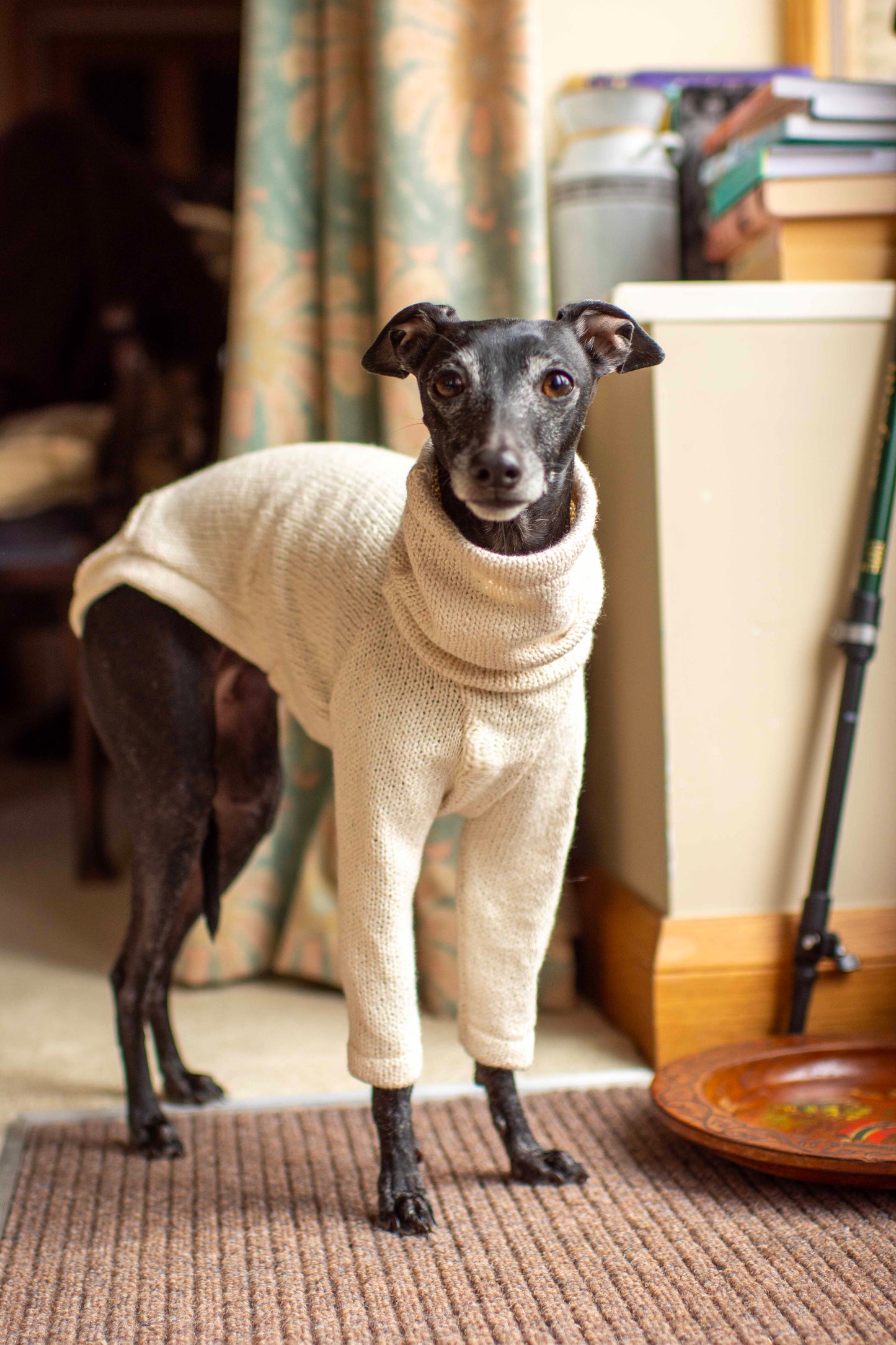 Cotton Knit Jumper
