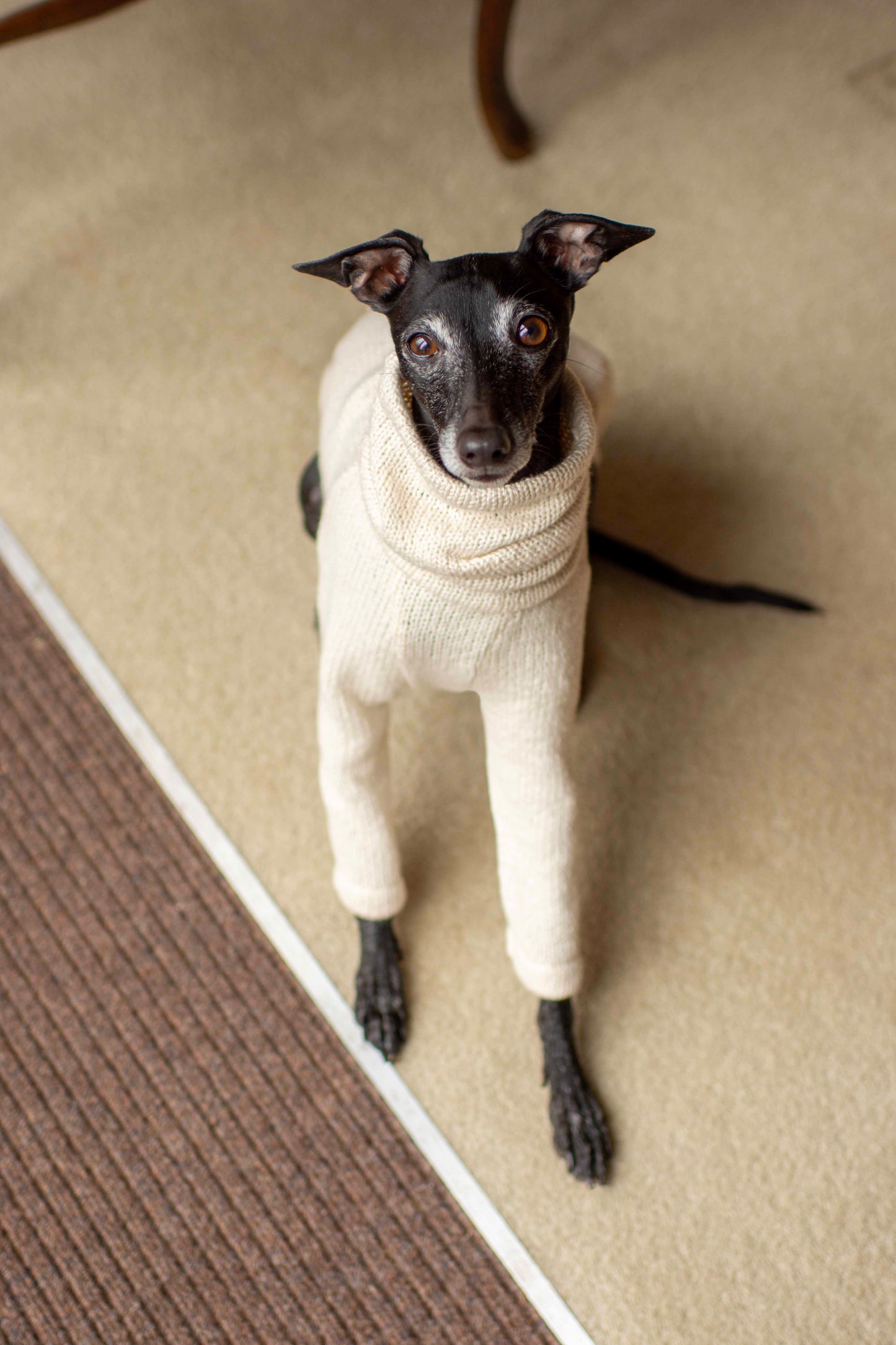 Cotton Knit Jumper
