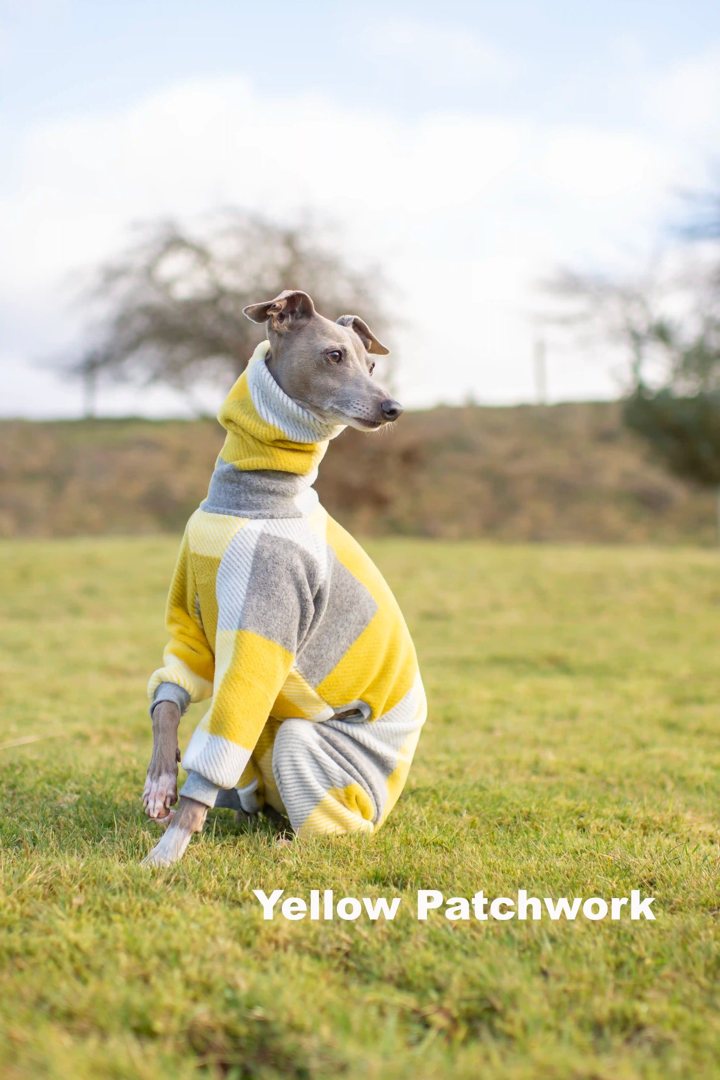 Limited Edition Patterned Fleece Onesie