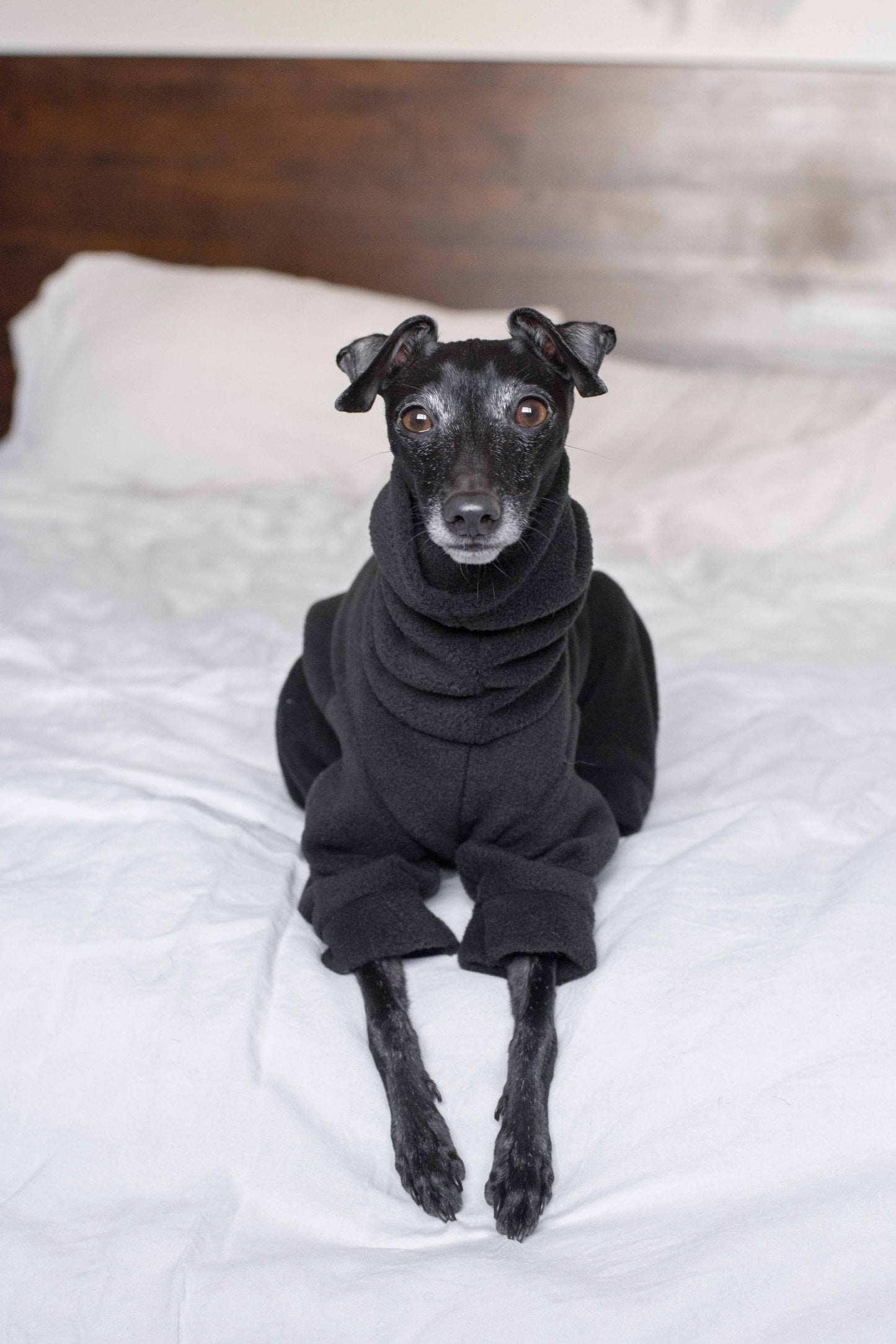 Fleece Basics - Onesie