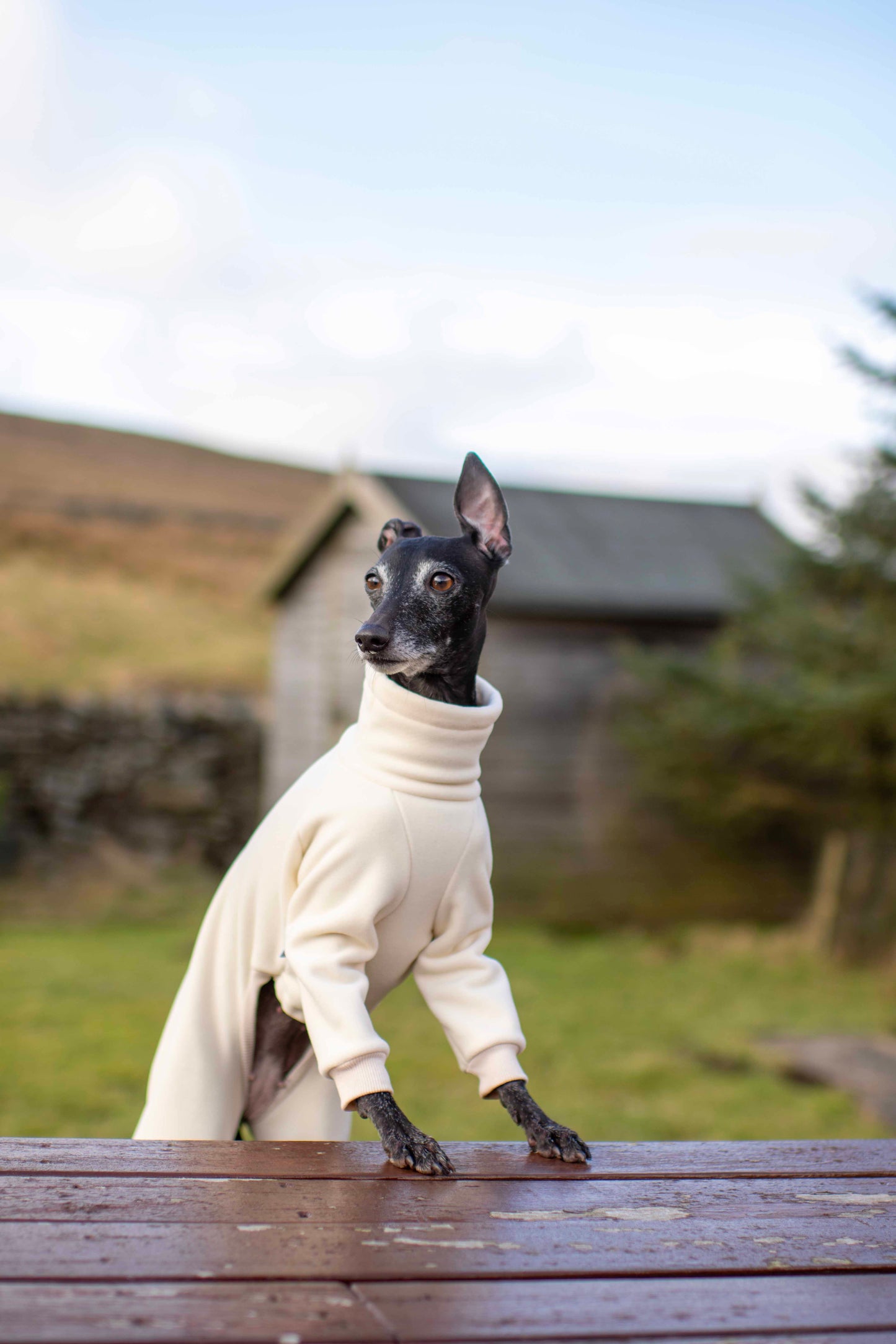 Polartec WindPro Fleece Onesies