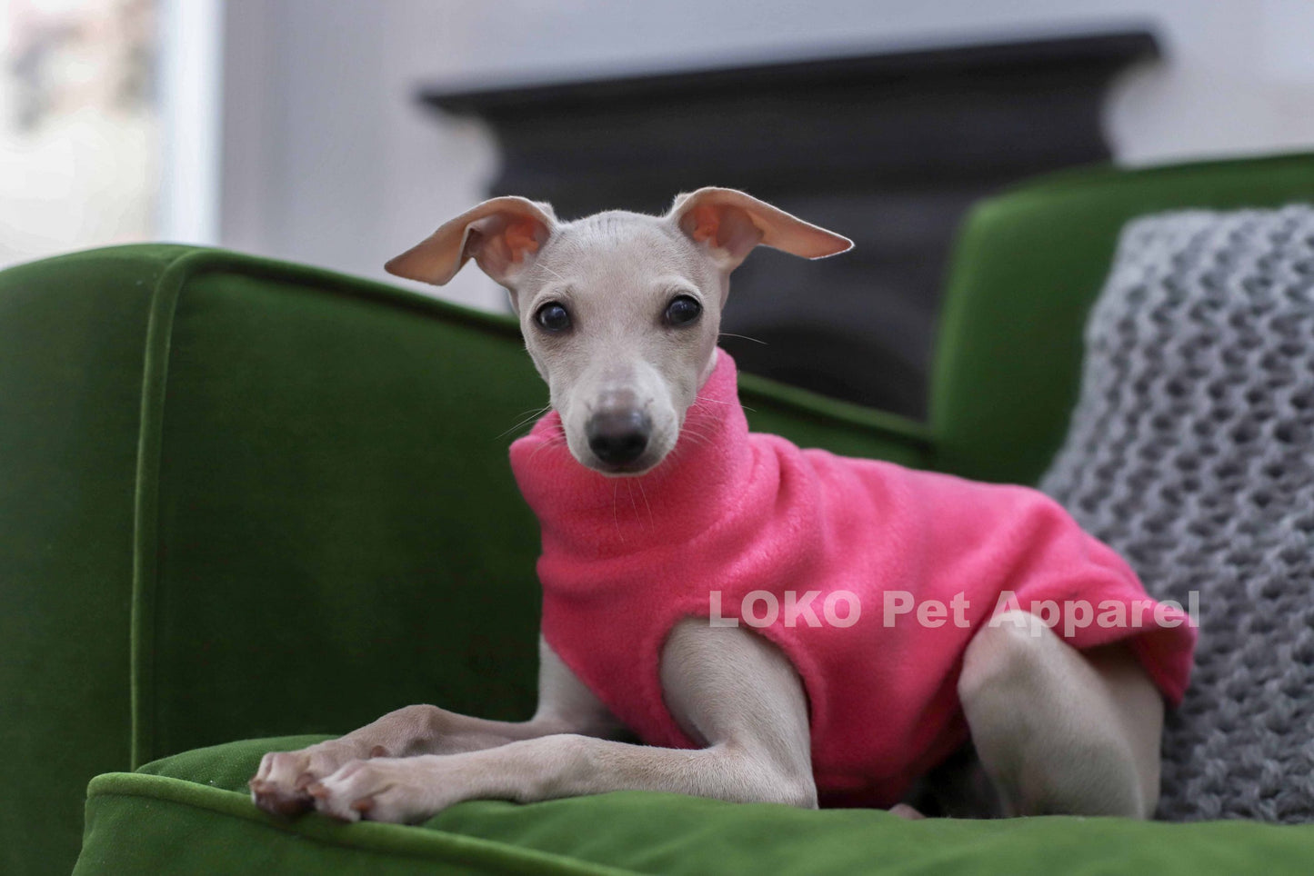 Fleece Basics - Puppy